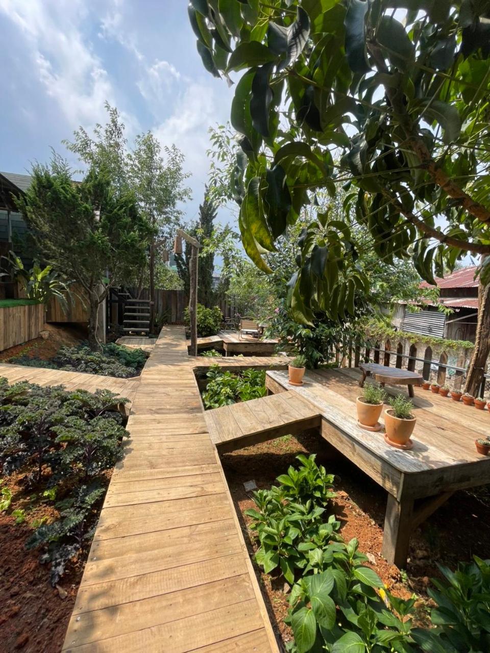 NgoHouse view 3