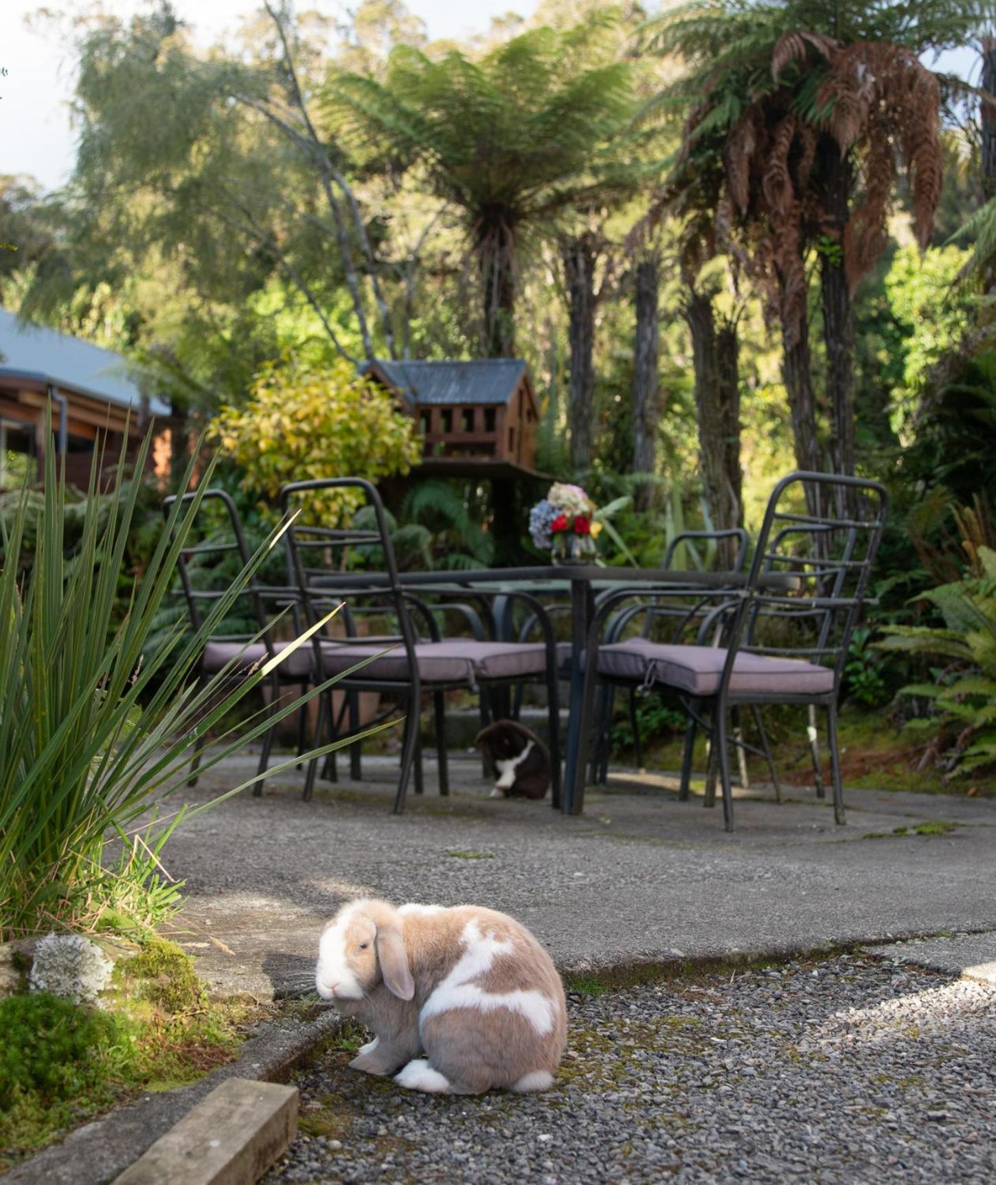 Fox Glacier Lodge