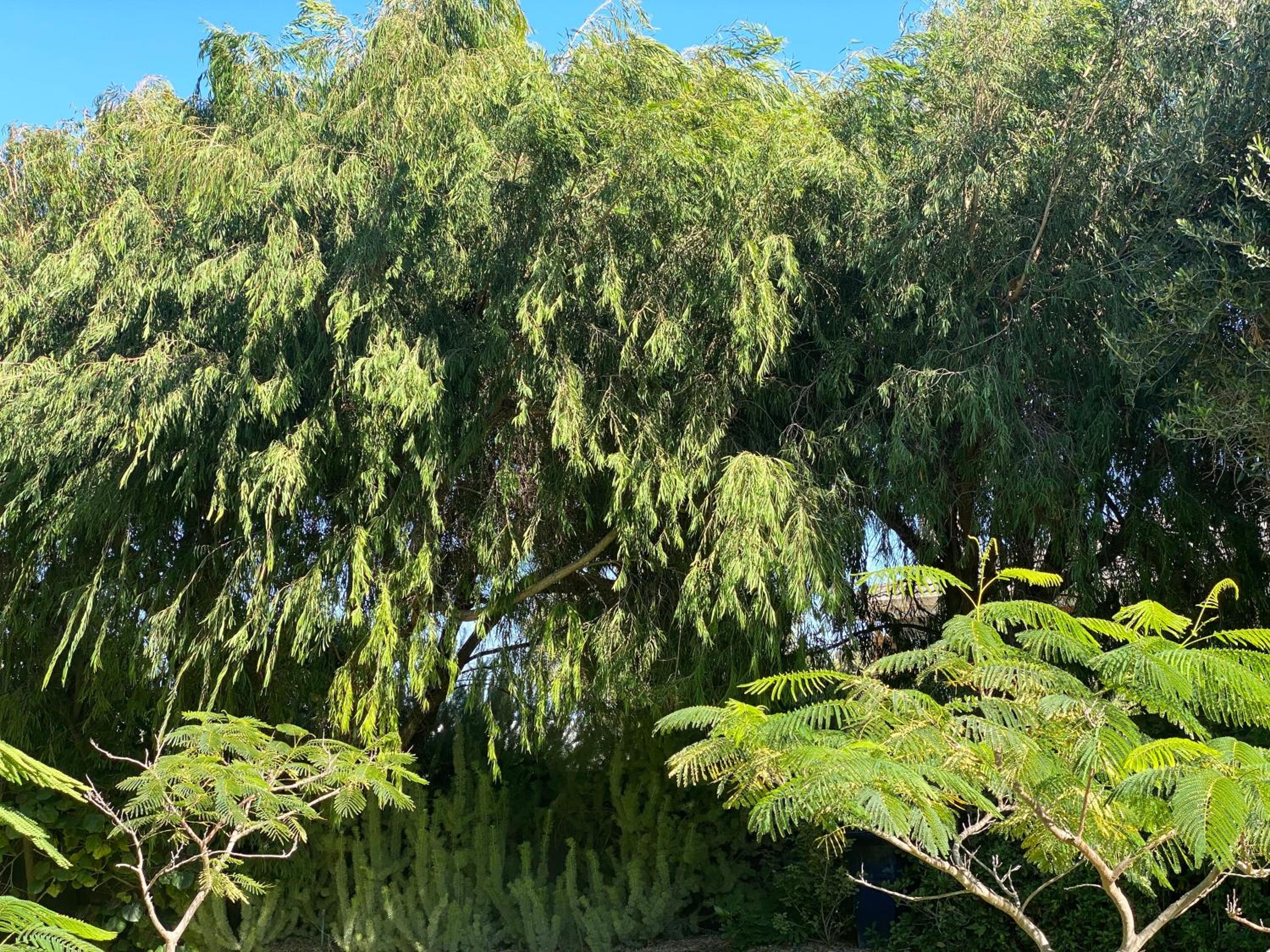 Yanchep Lagoon Retreat