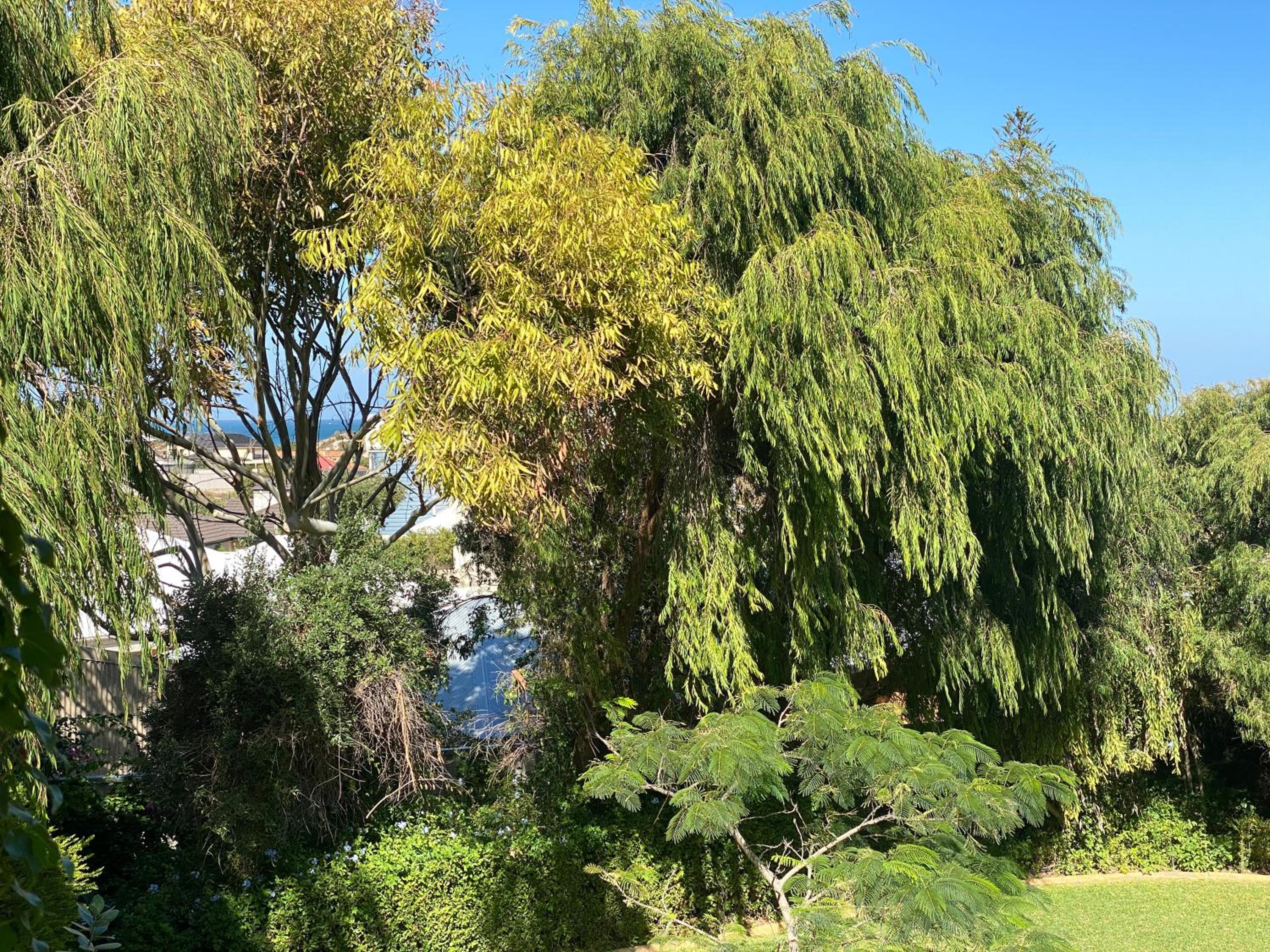 Yanchep Lagoon Retreat