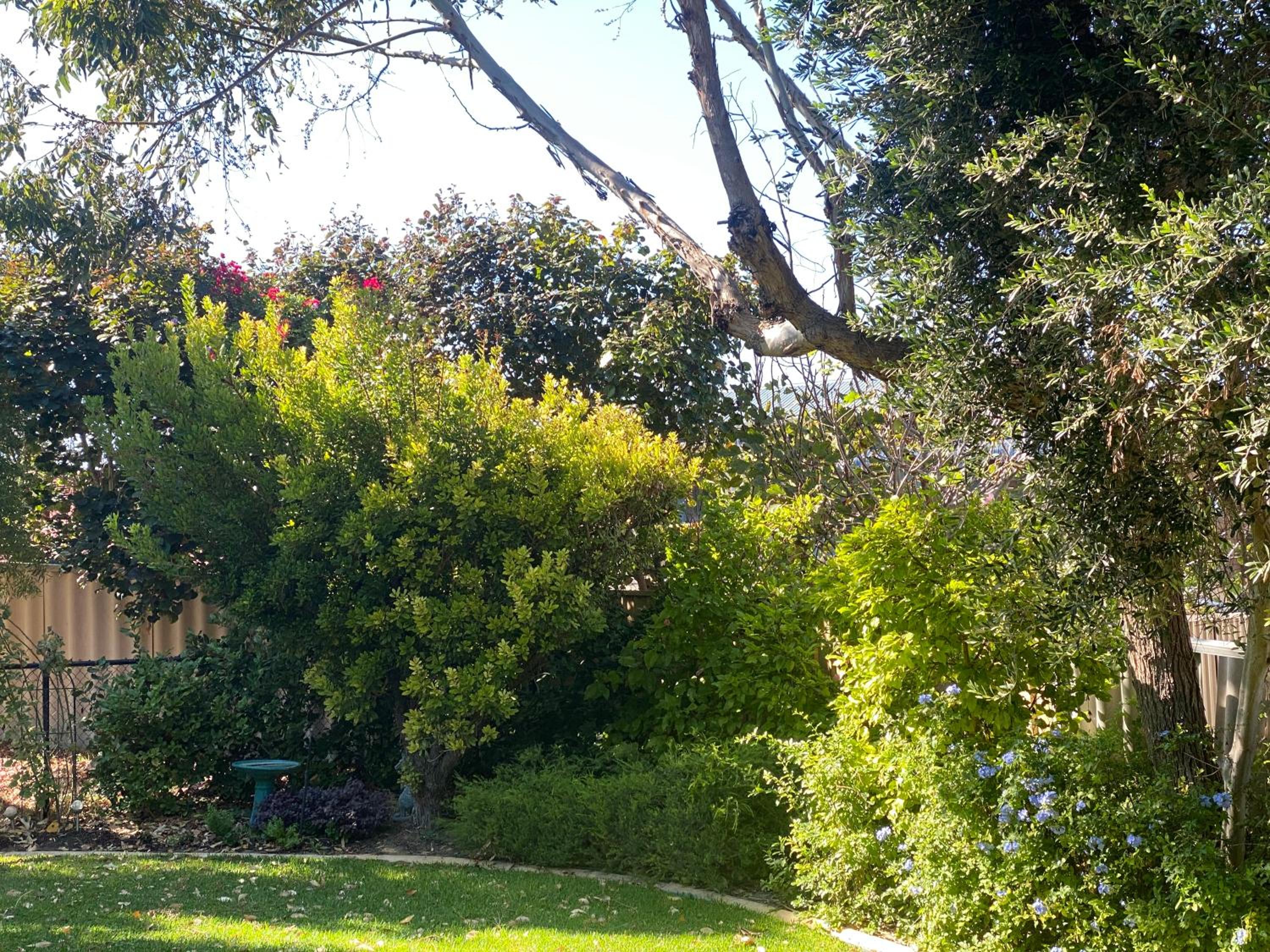 Yanchep Lagoon Retreat