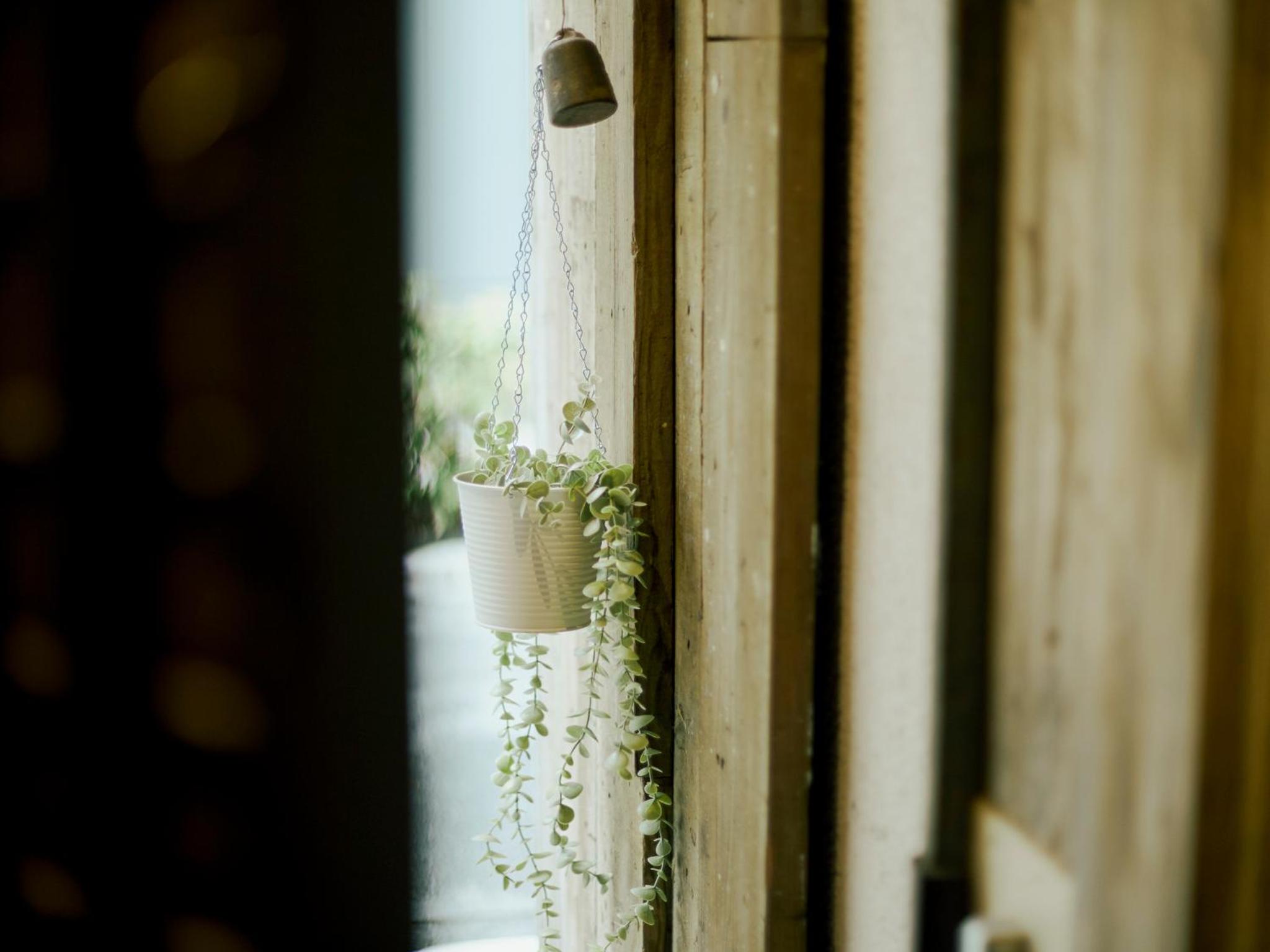 Akasaka Guesthouse HIVE