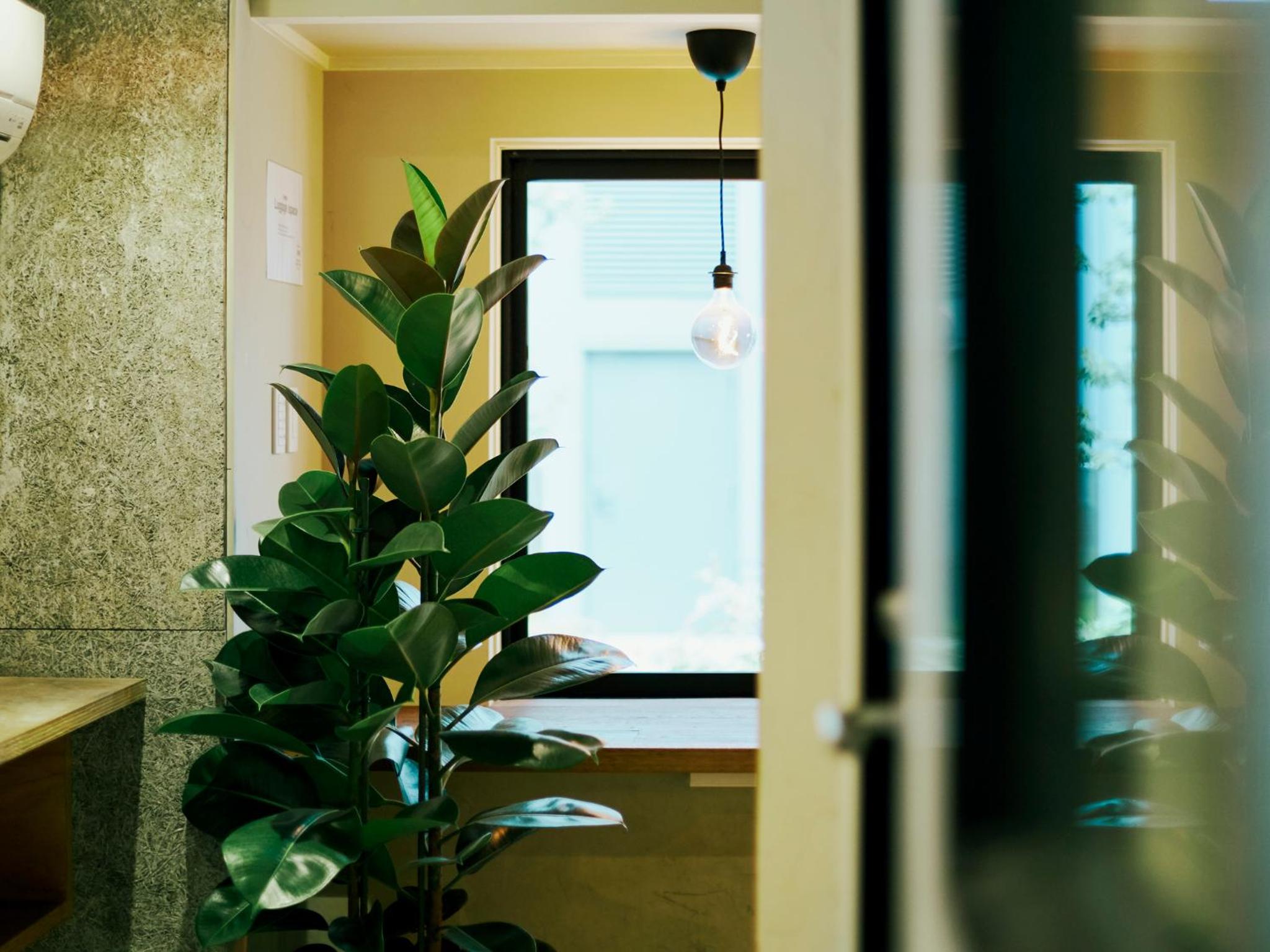 Akasaka Guesthouse HIVE