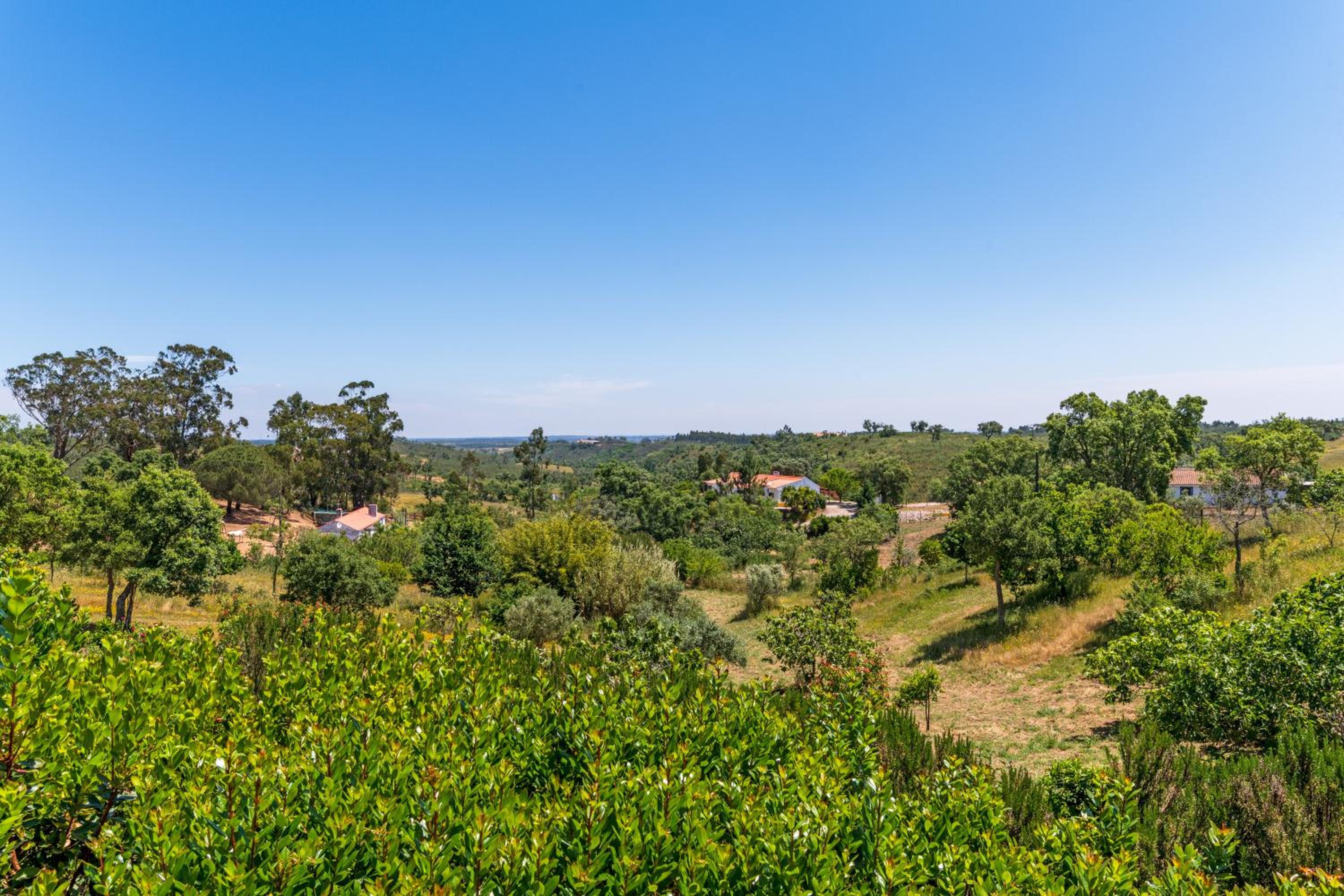 Monte do Cerro Verde view 4
