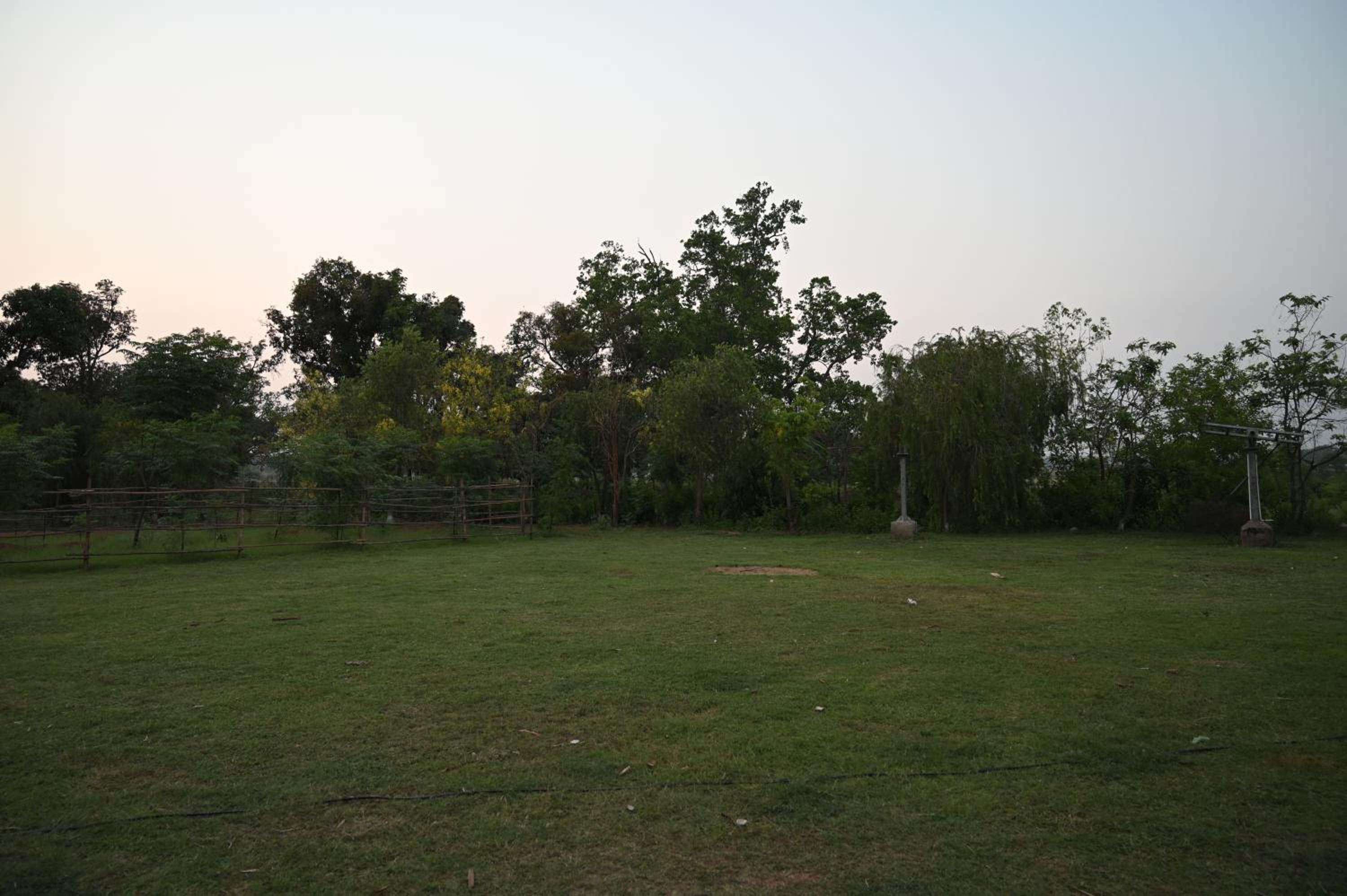 Photo 29