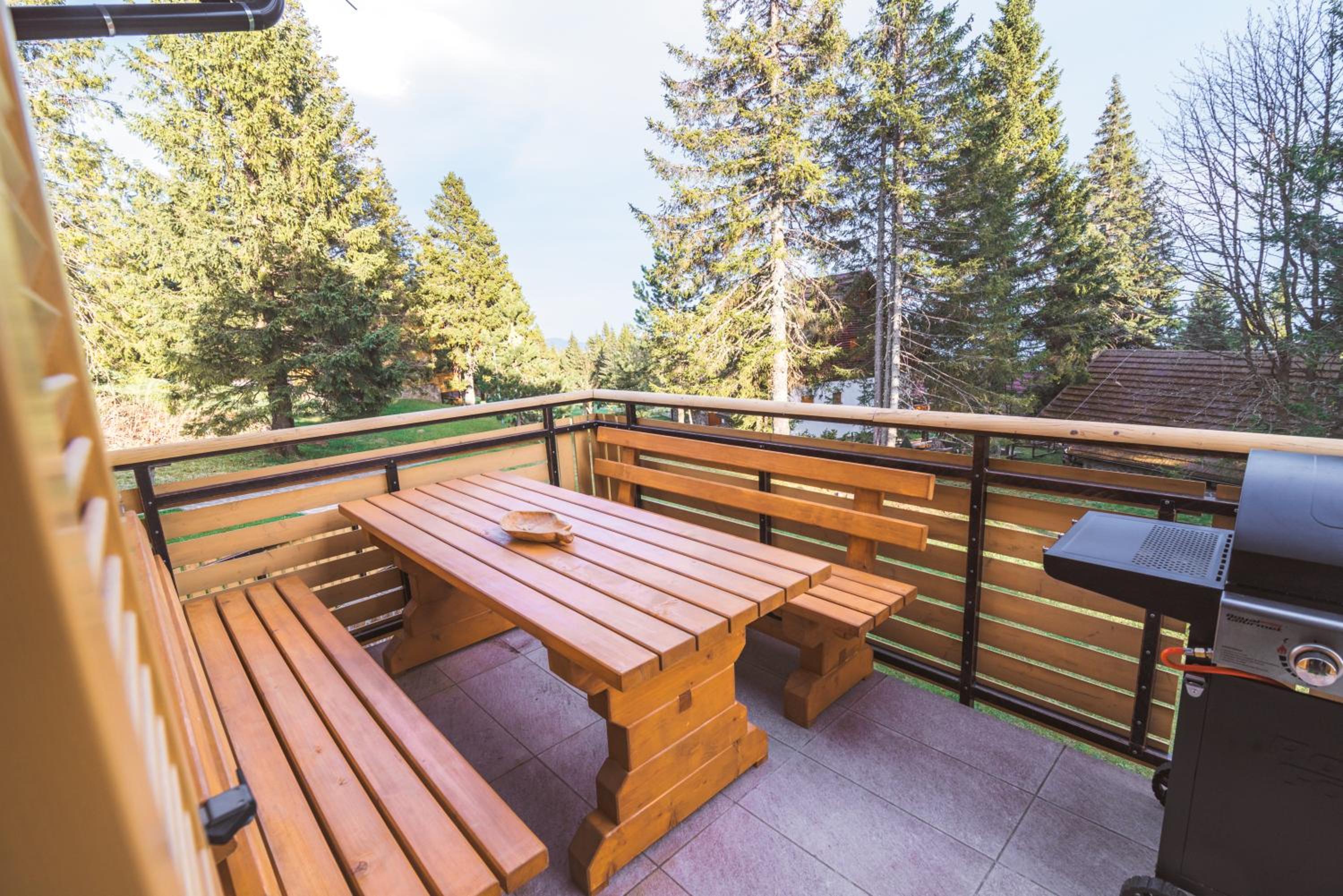 Rogla Alpina Residence view 3