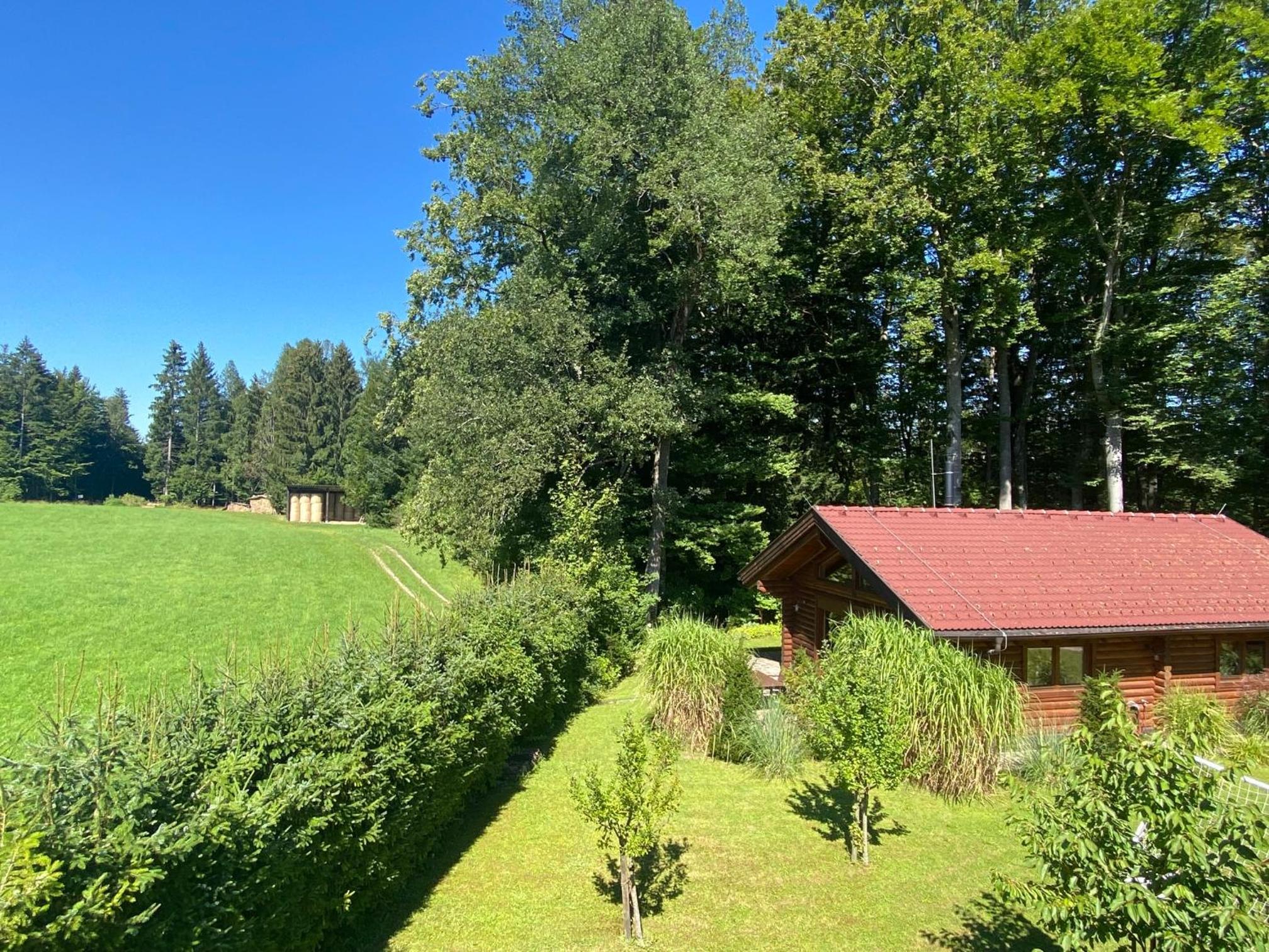 Hütte am Wald