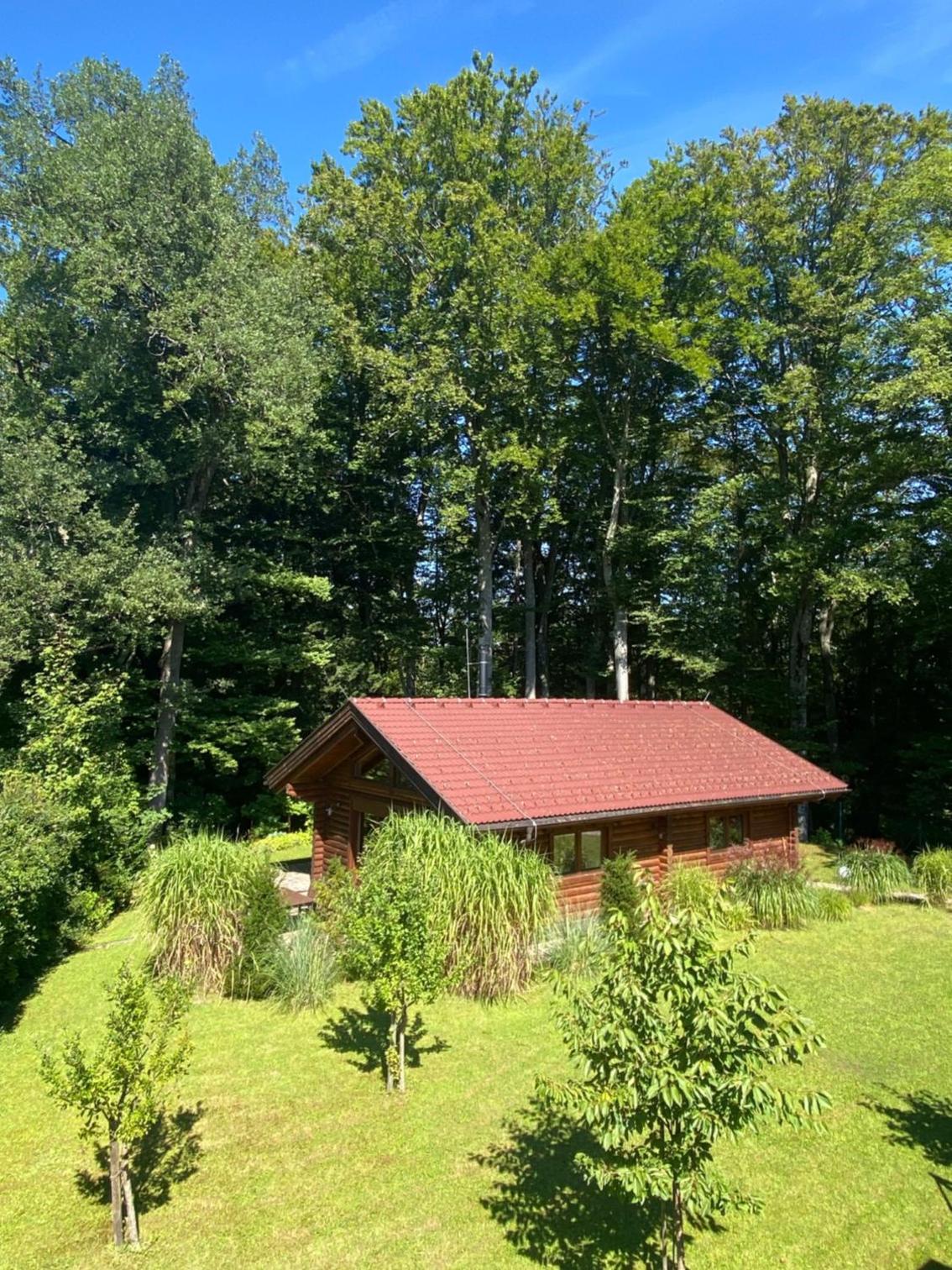 Hütte am Wald