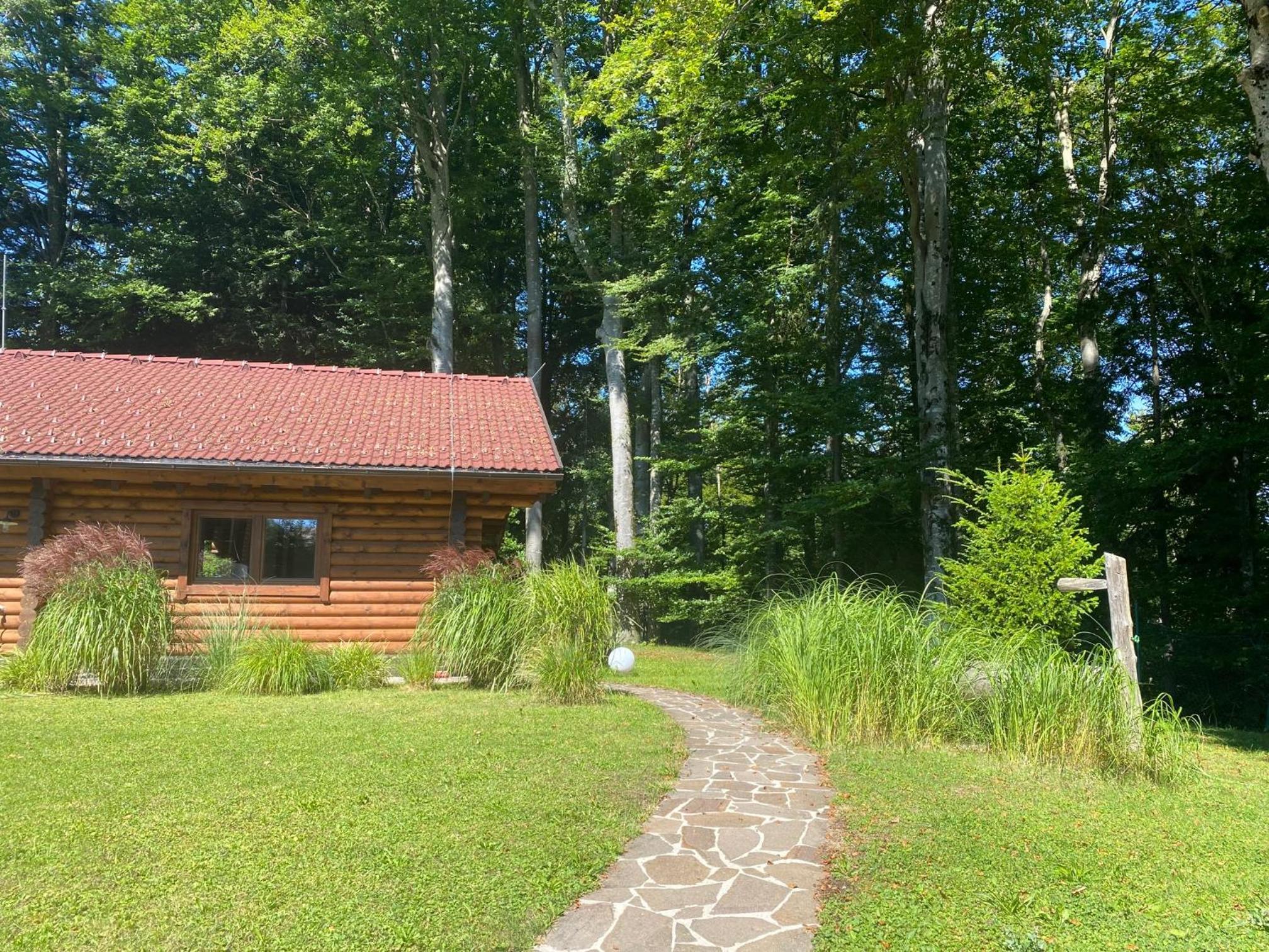 Hütte am Wald