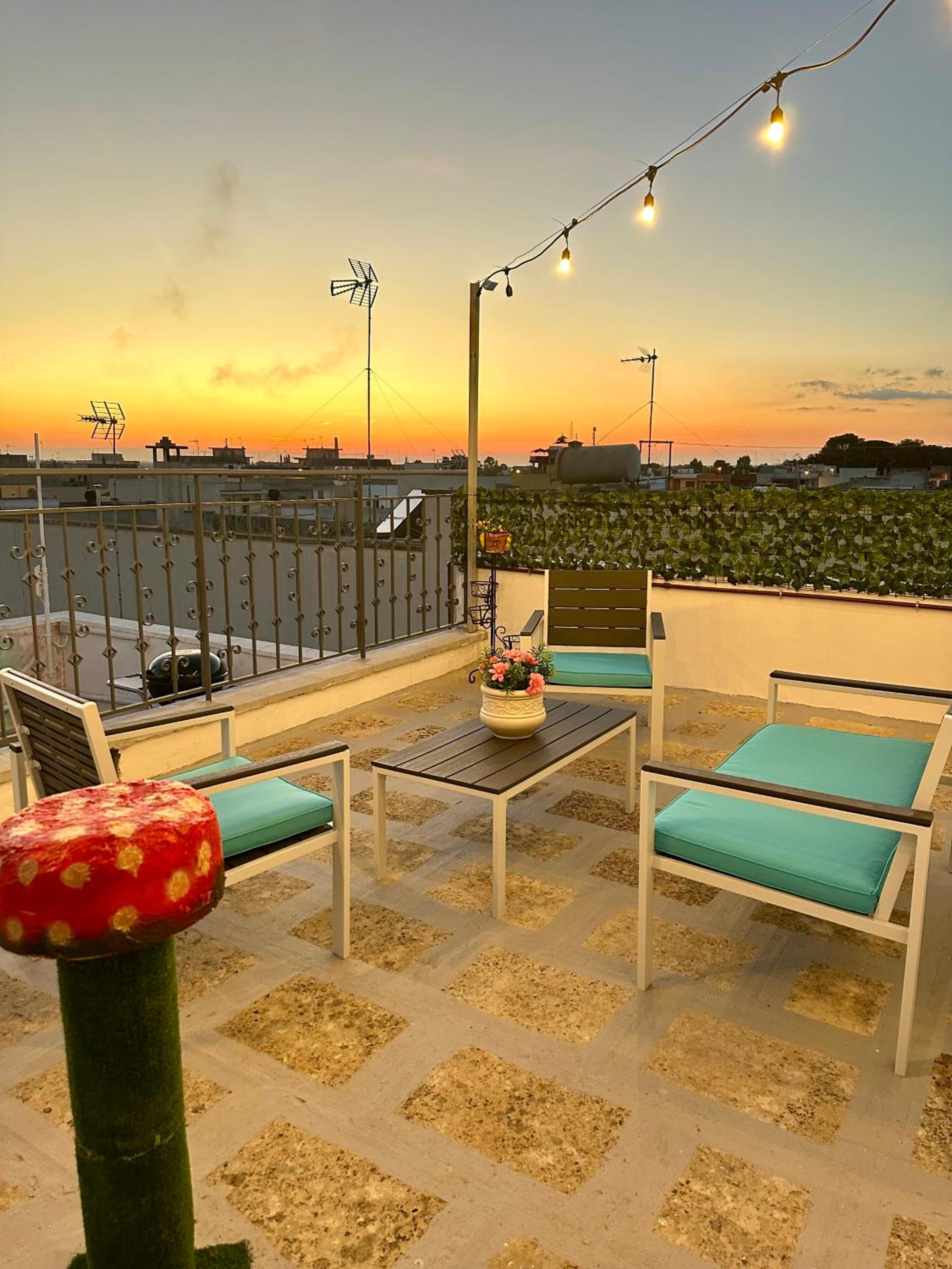 balance & terrace