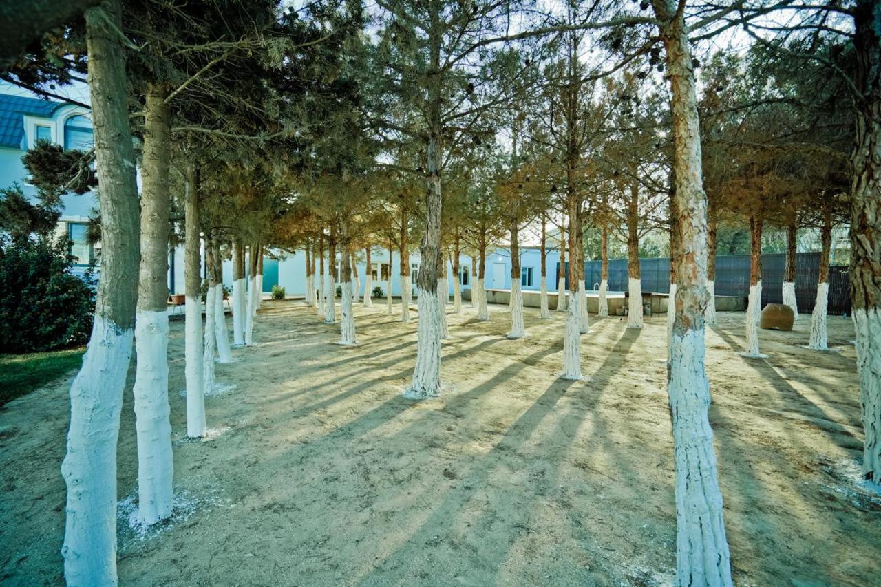 Bilgah Seaview Villas