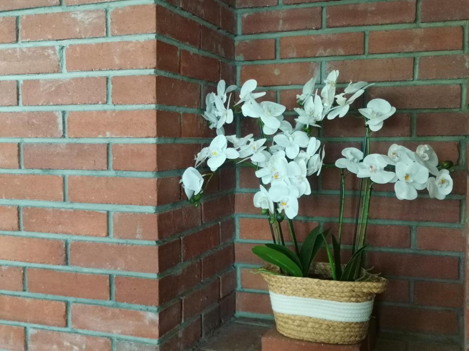 Photo 32