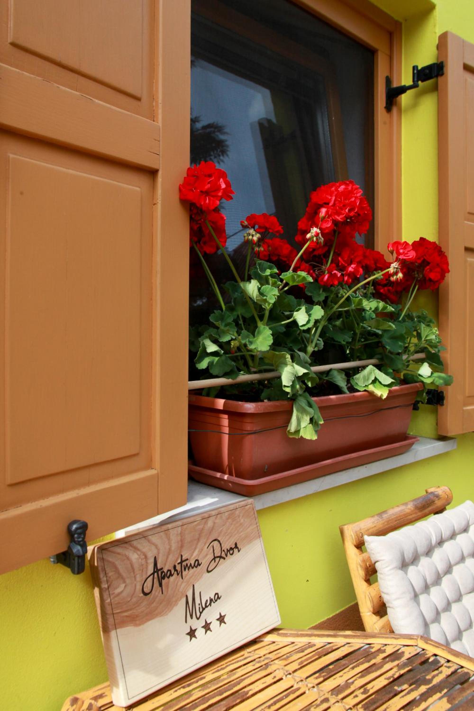 Apartma Dvor Milena