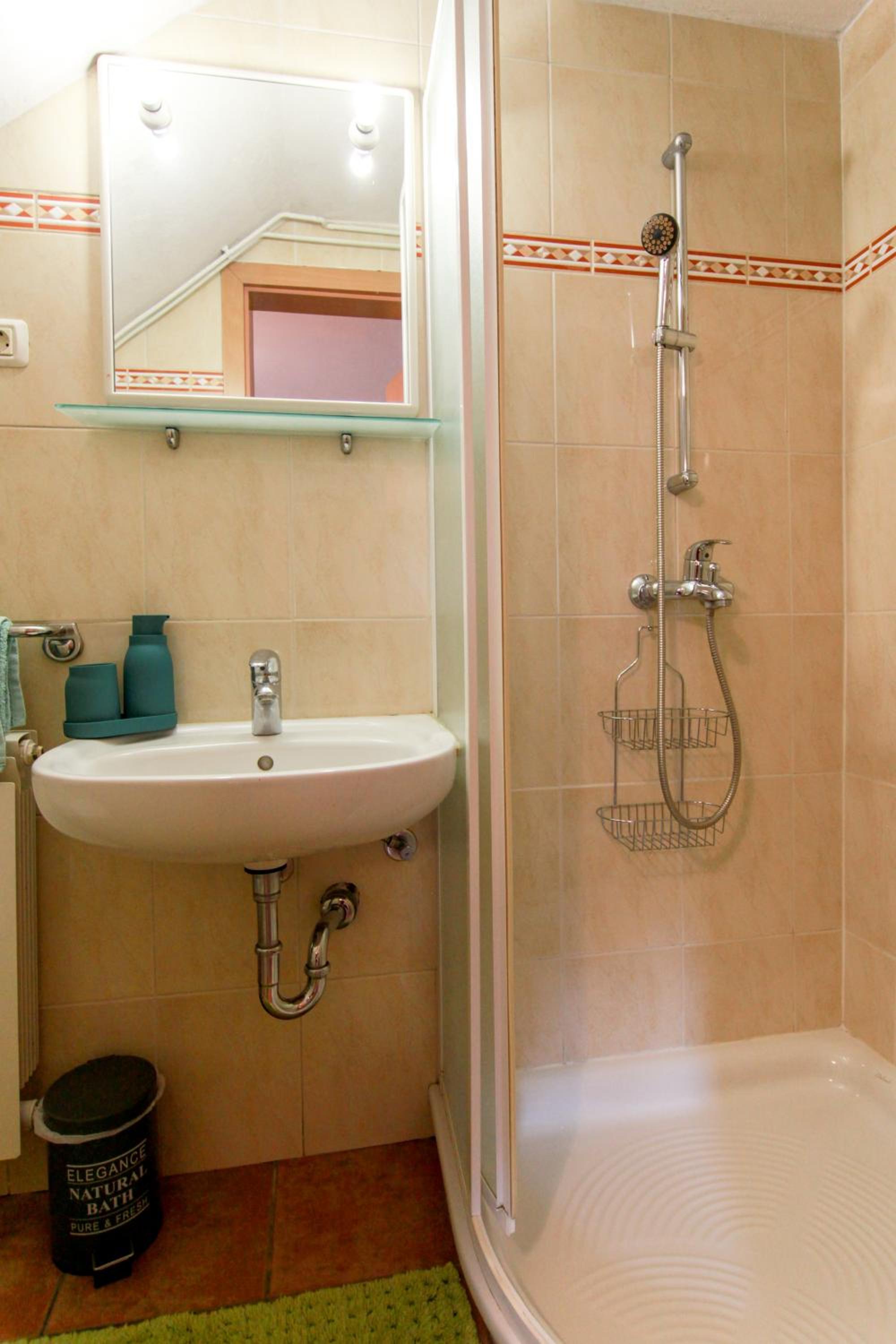 Apartma Dvor Milena, photo 13