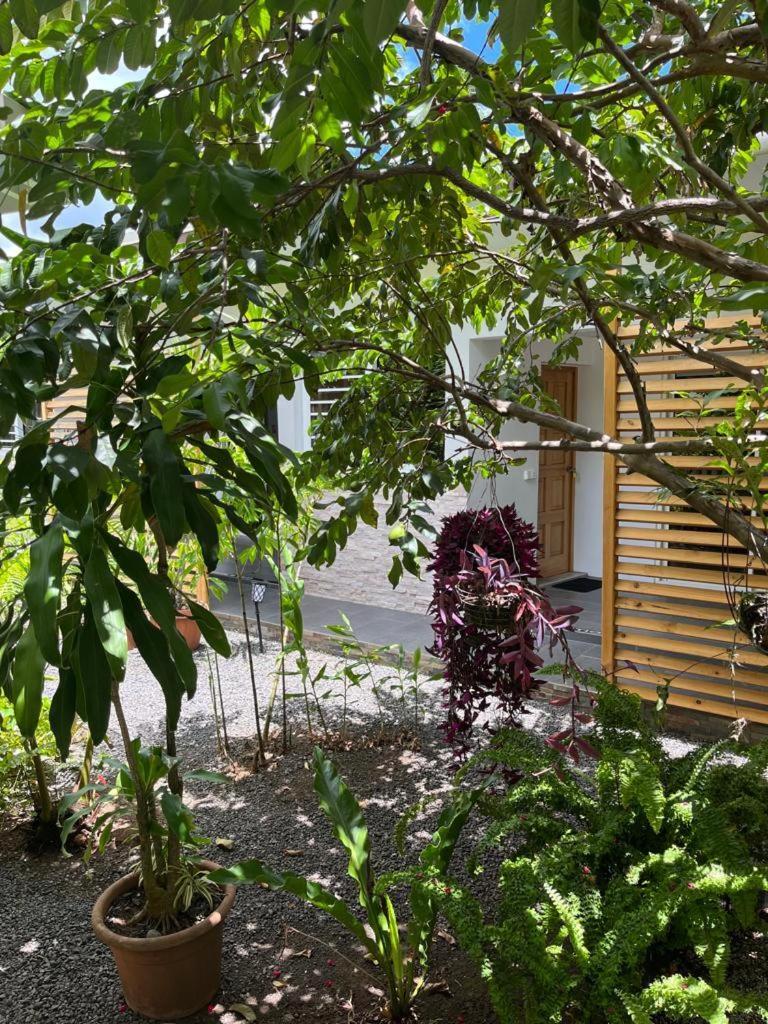 Pension pare lodge