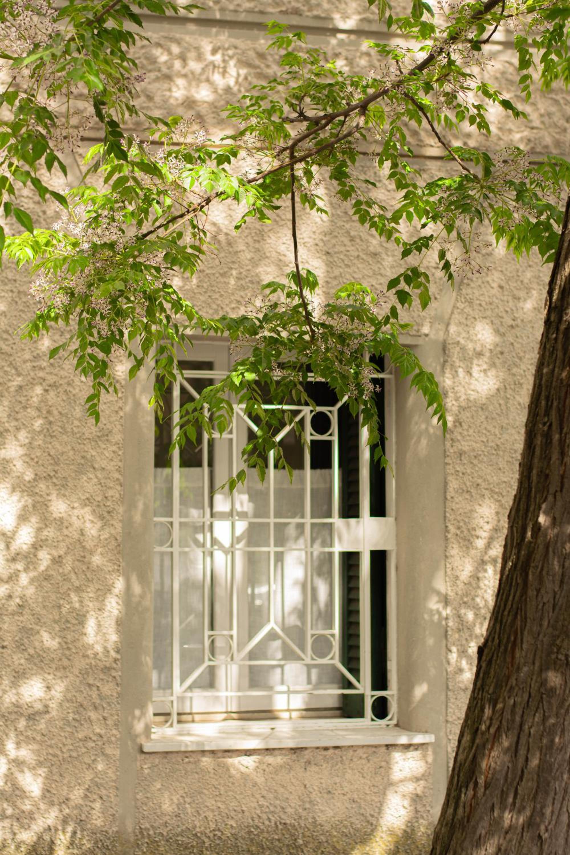 Domus Gianicolo 2B