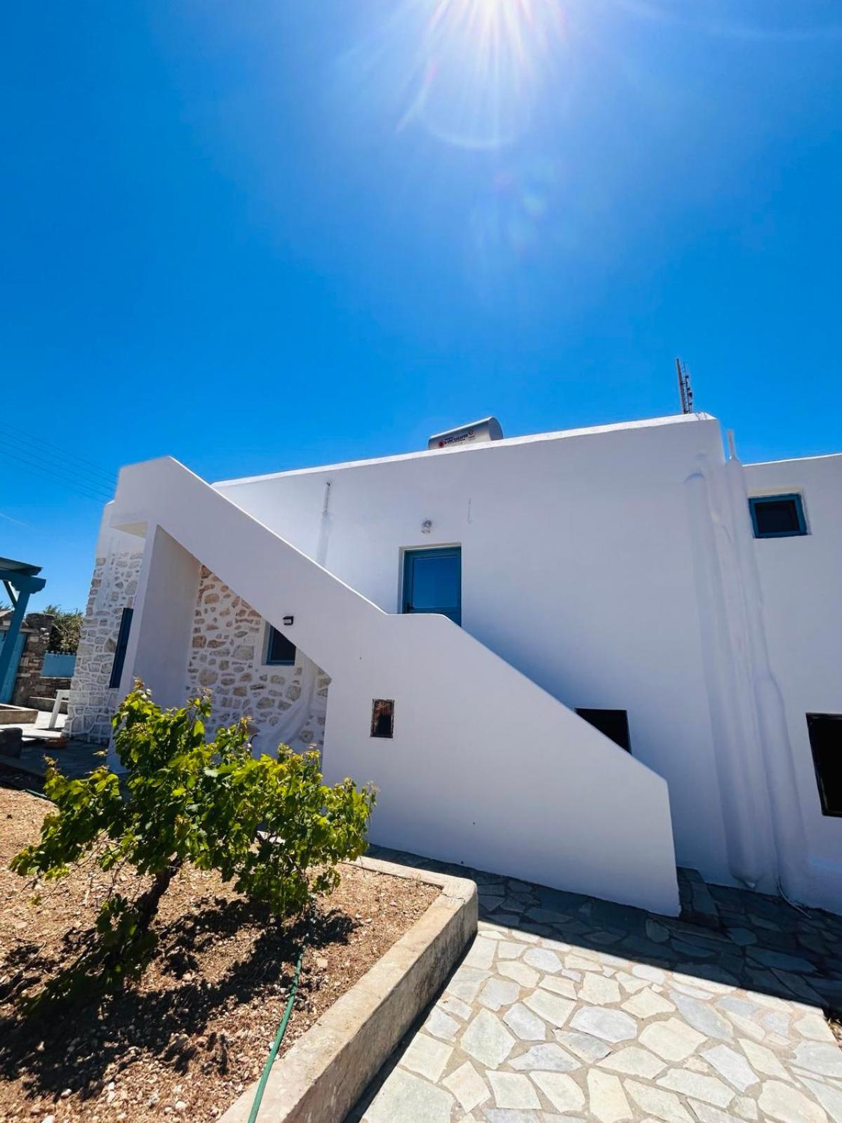 The Olive House