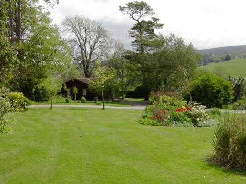 Pine Tree Lodge view 2