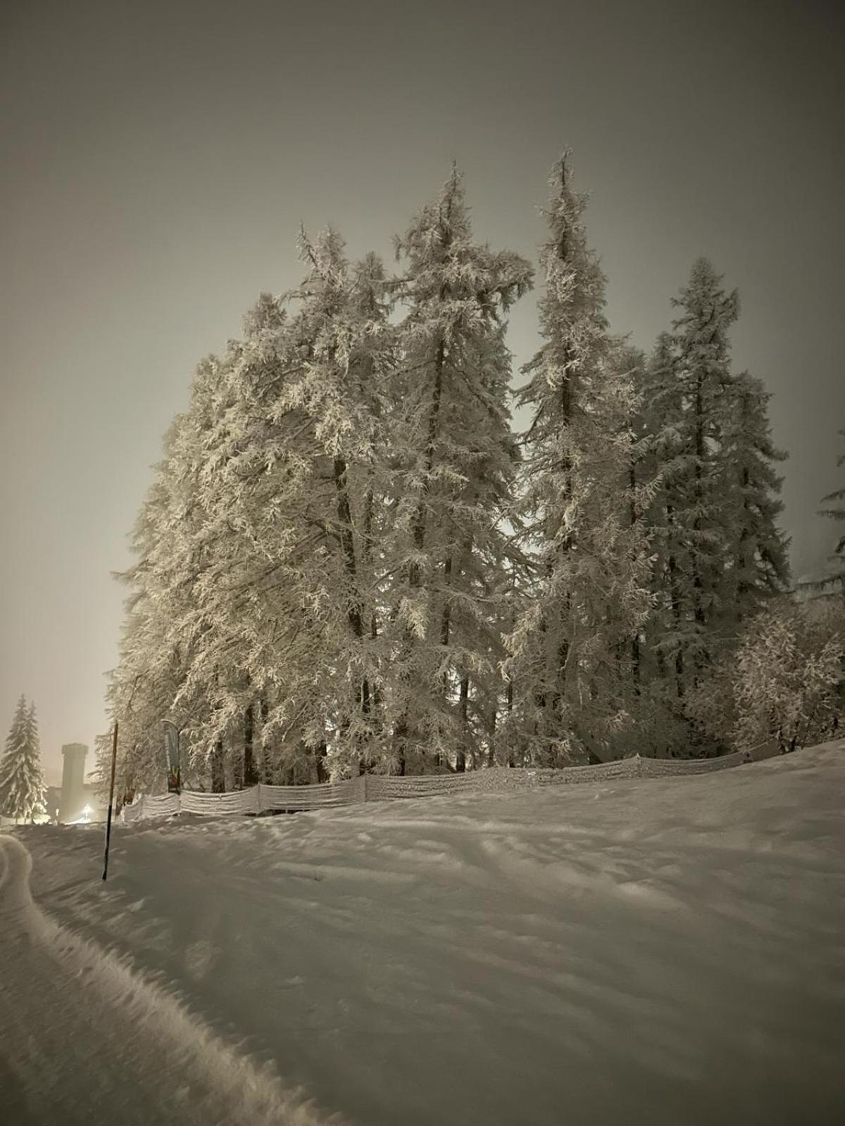 Appartamenti Larice Pila photo 4