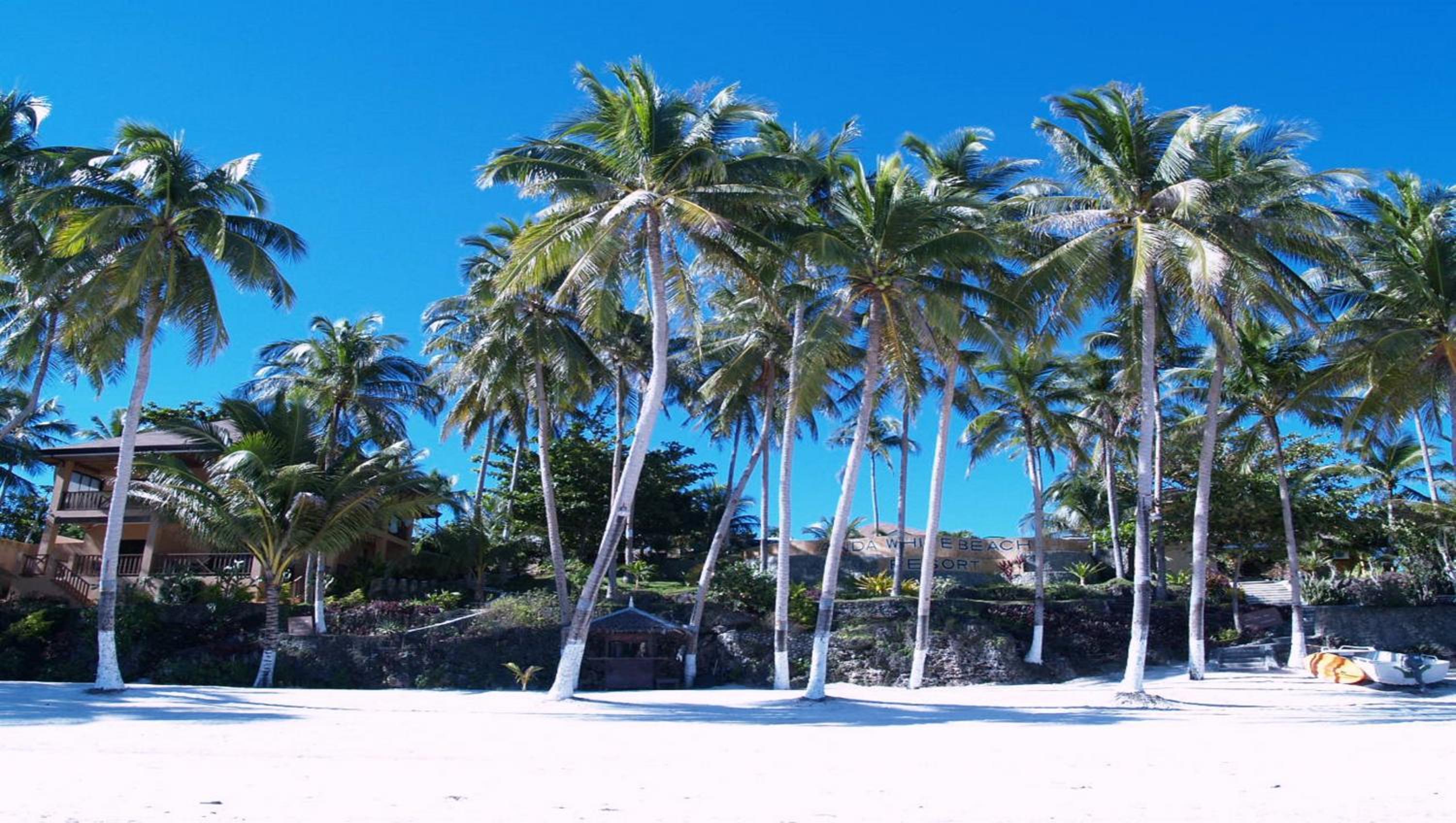 Anda White Beach Resort