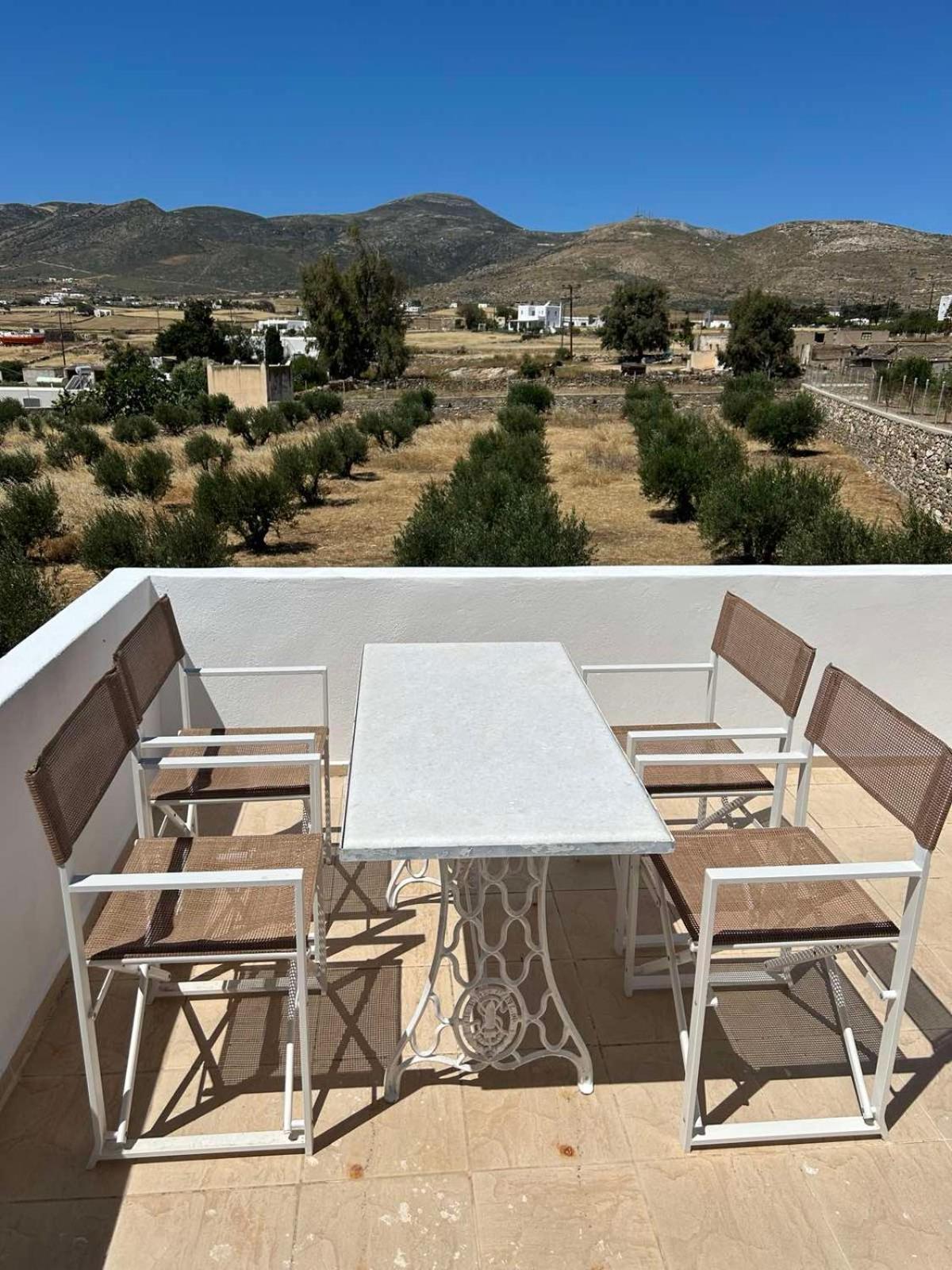 The Olive House