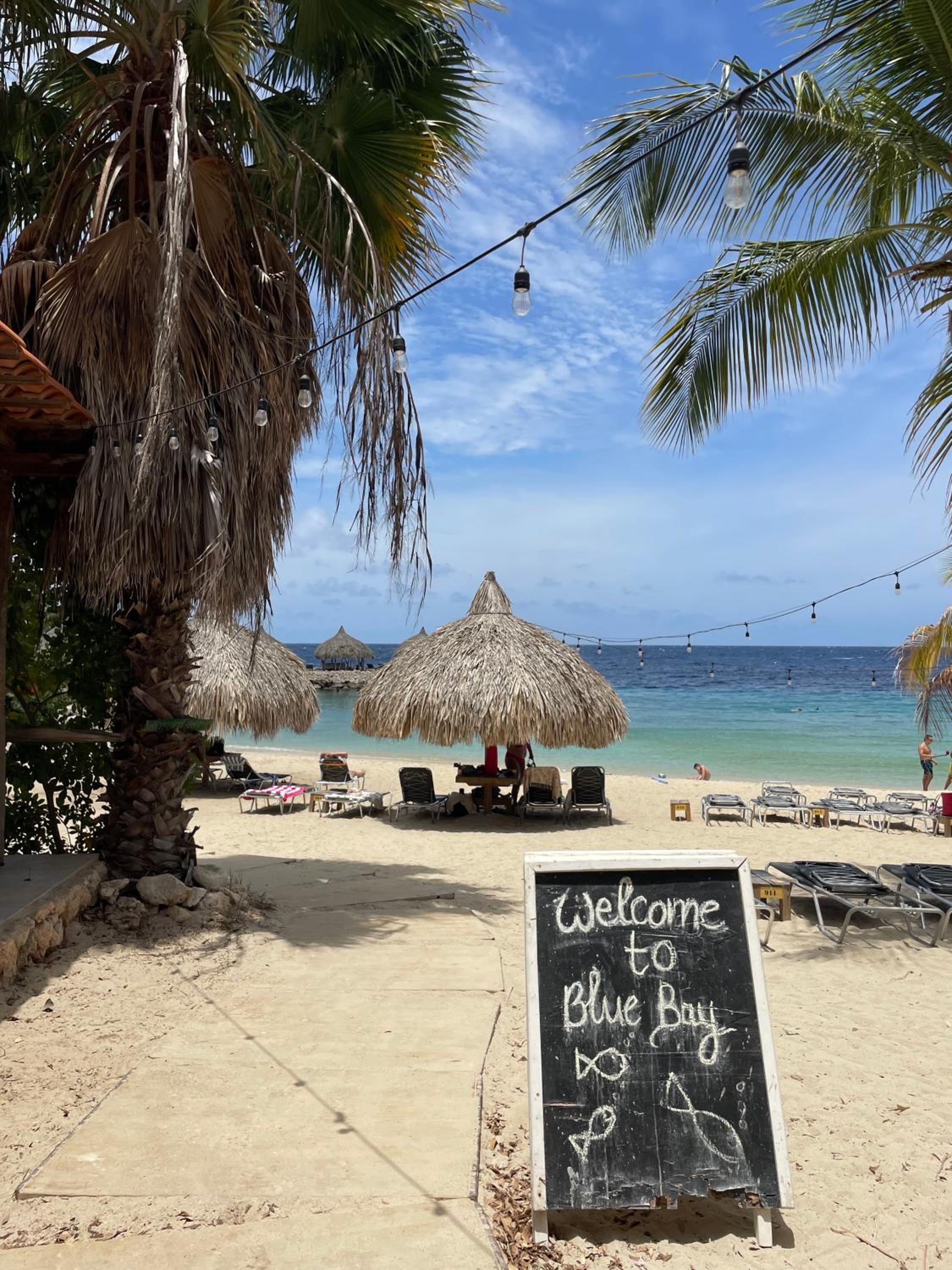 The Coastal Breeze in Blue Bay