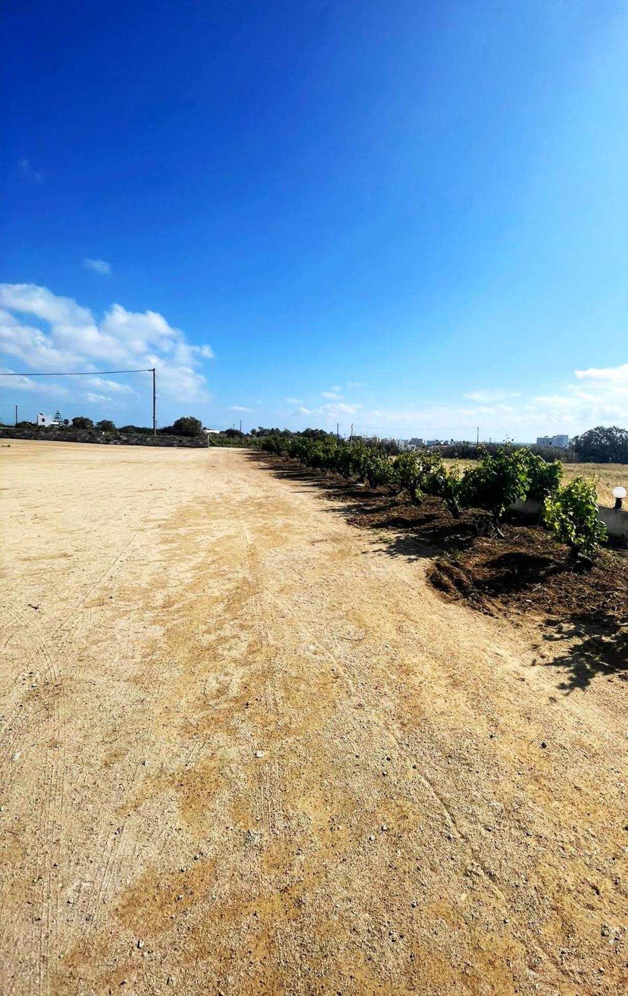 Naxian Serenity Suites view 5