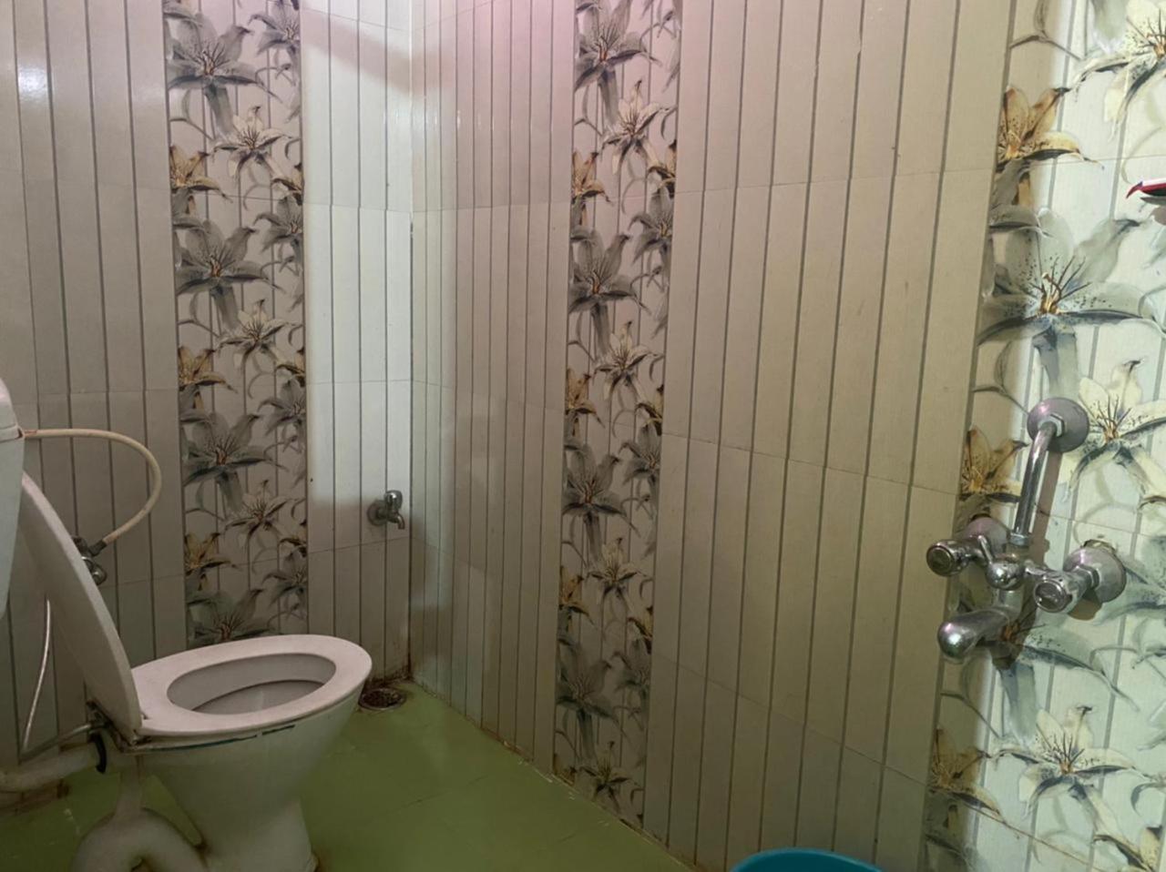 Hotel Shobha and Tent House view 5