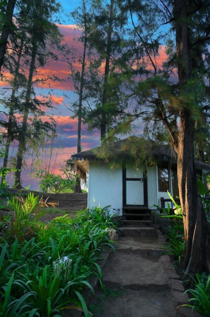 Exotica Beach Cottages view 5