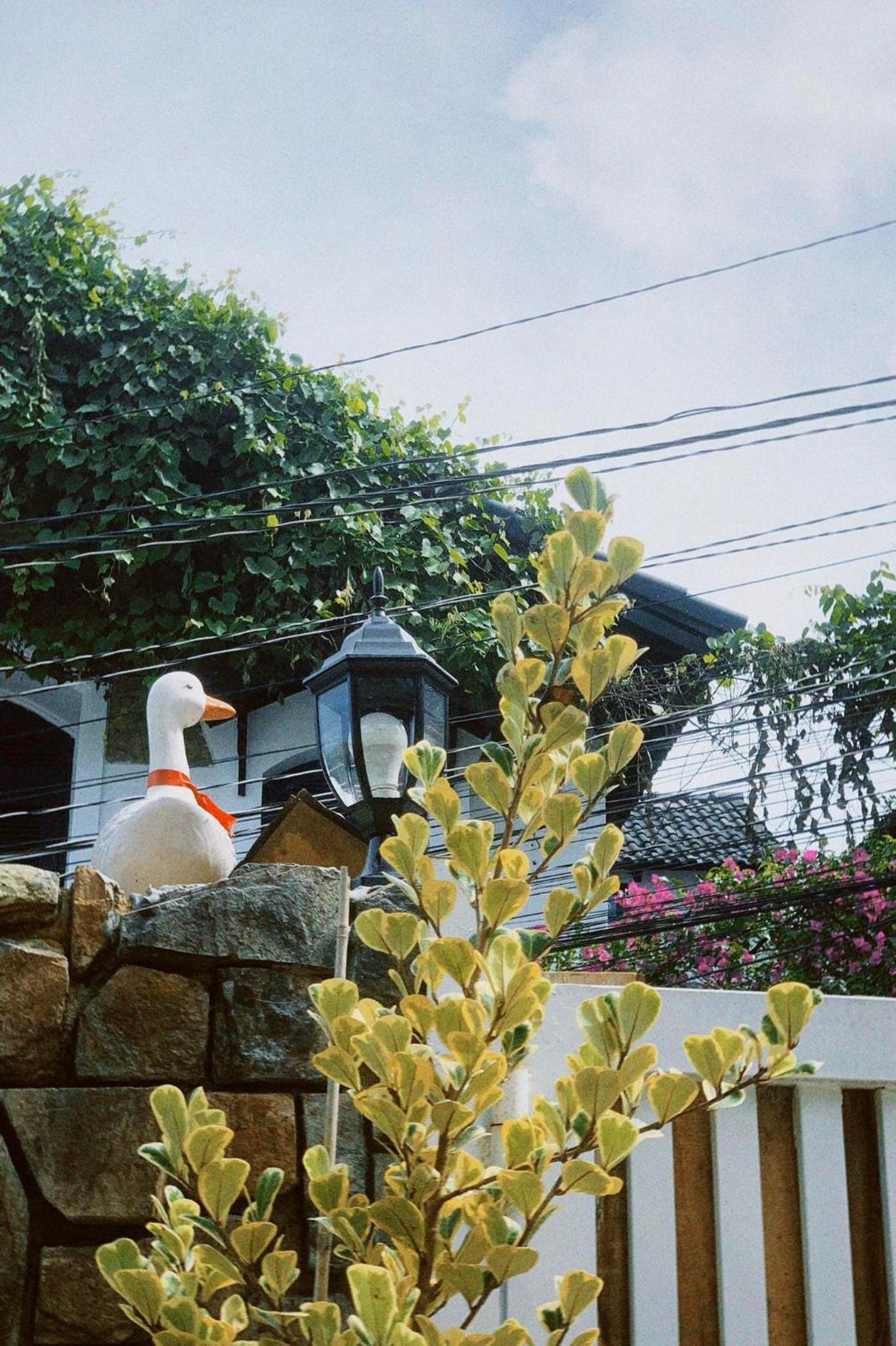 Photo 44