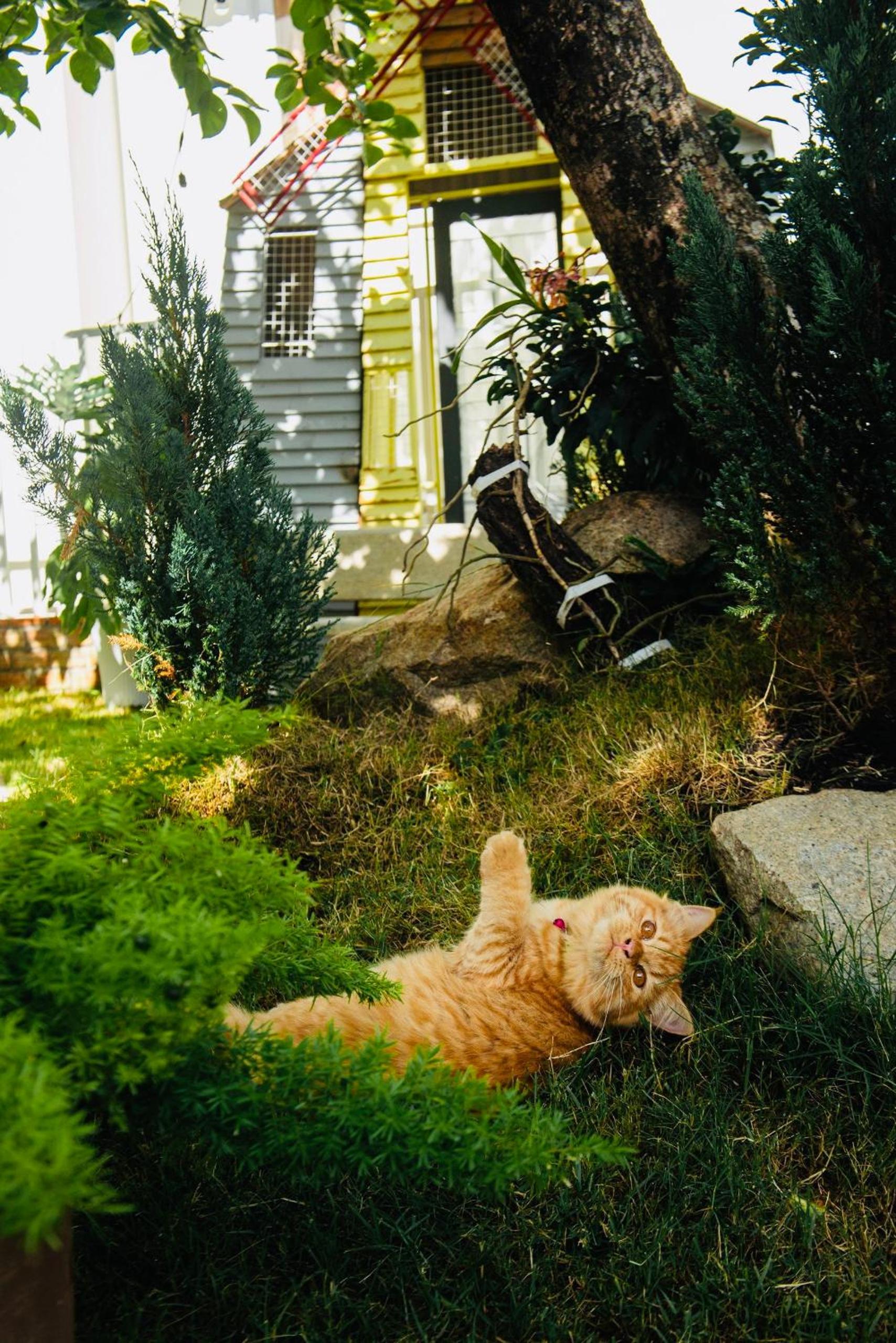 Photo 47