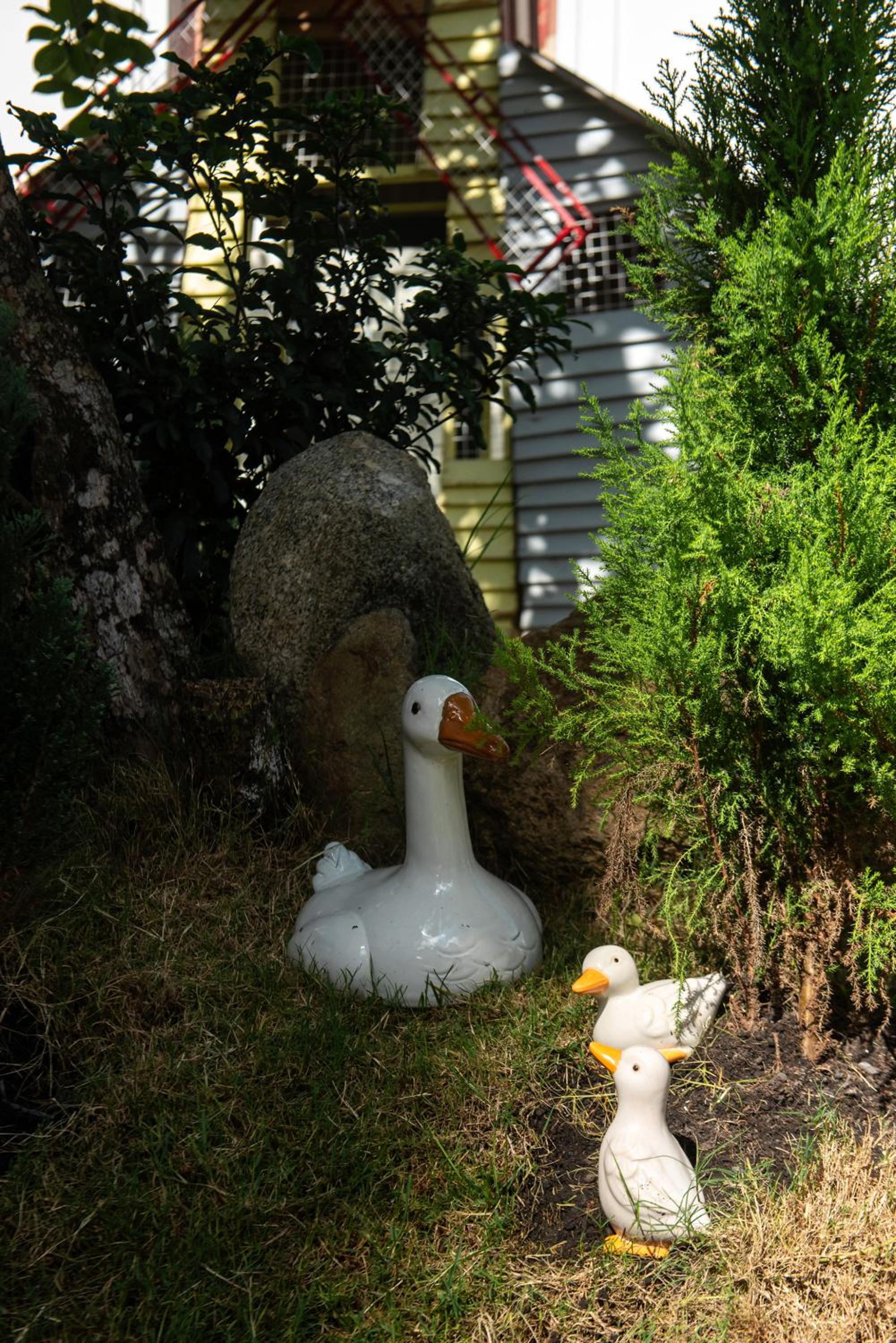 Photo 64