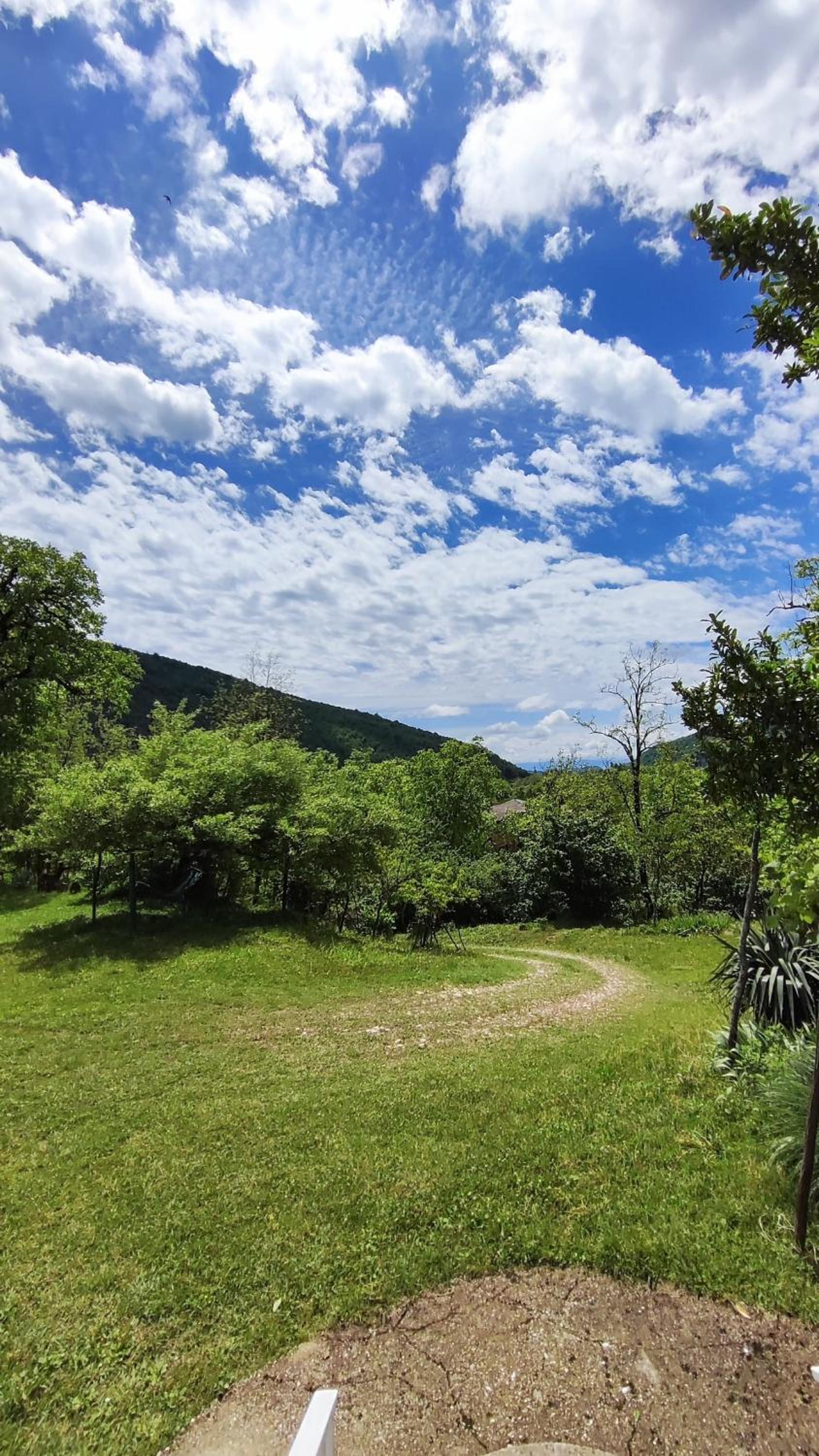 Mira Hills