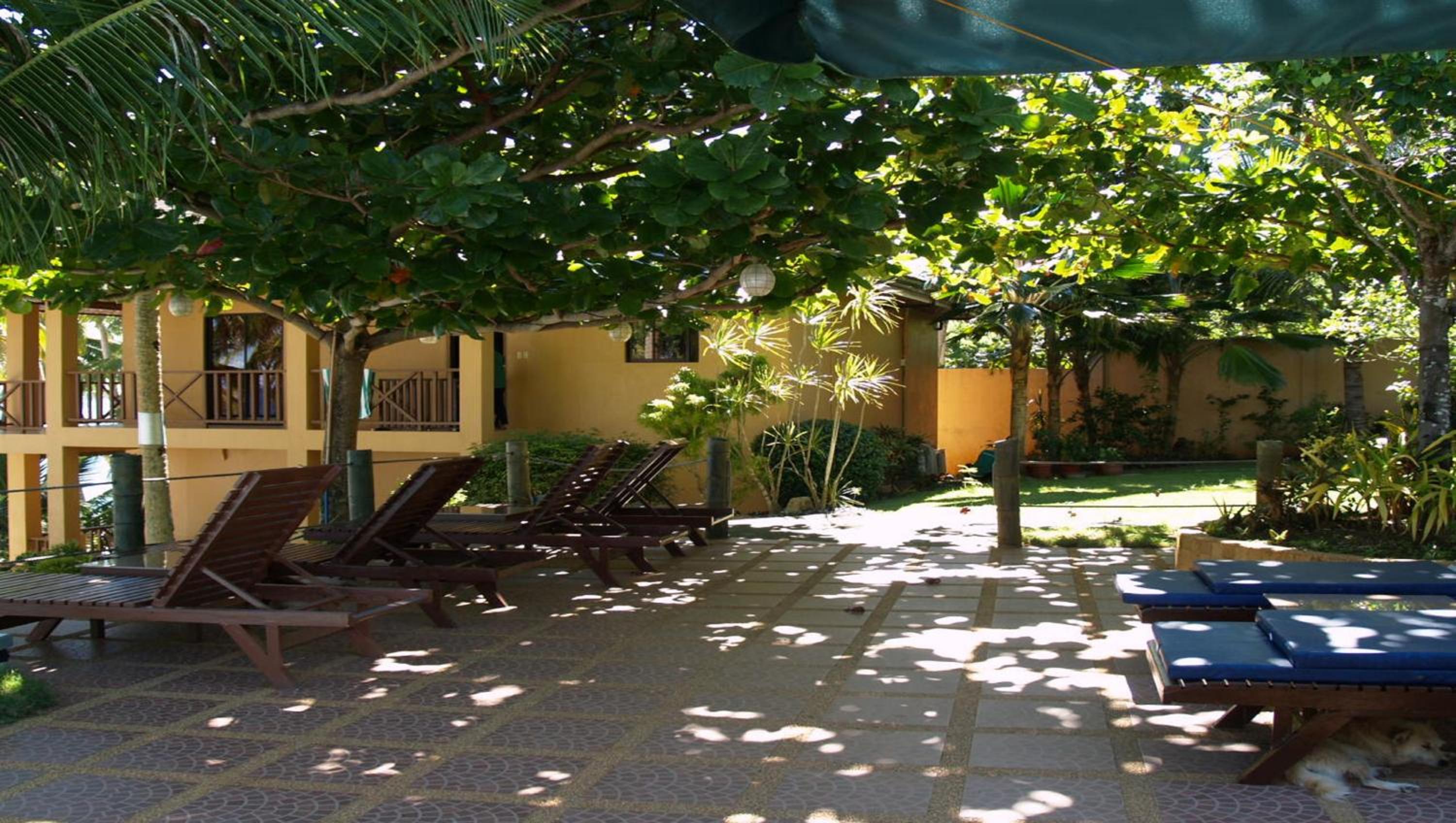 Anda White Beach Resort