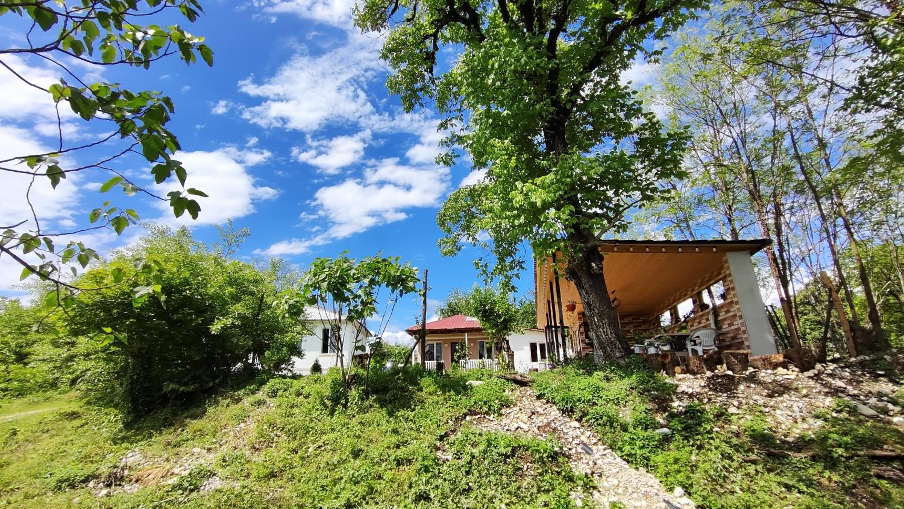 Mira Hills