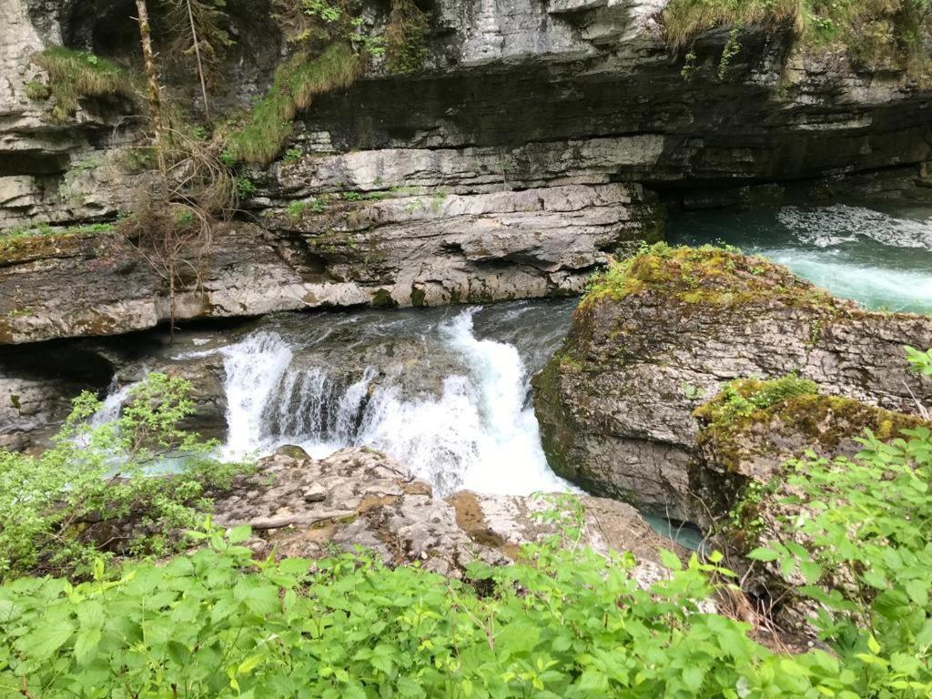 Almstube