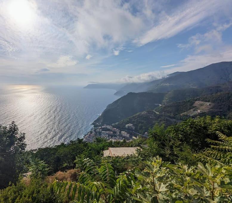 Rustico immerso nel cuore delle Cinque Terre view 5