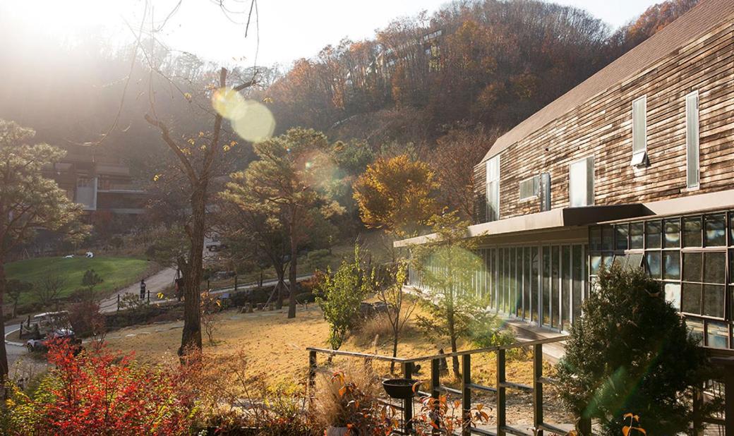 Healience Village