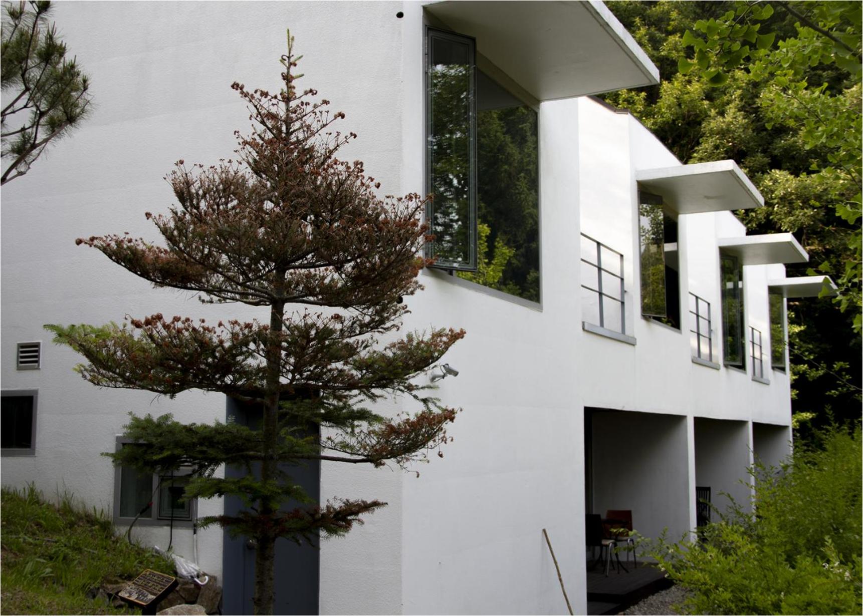 Healience Village