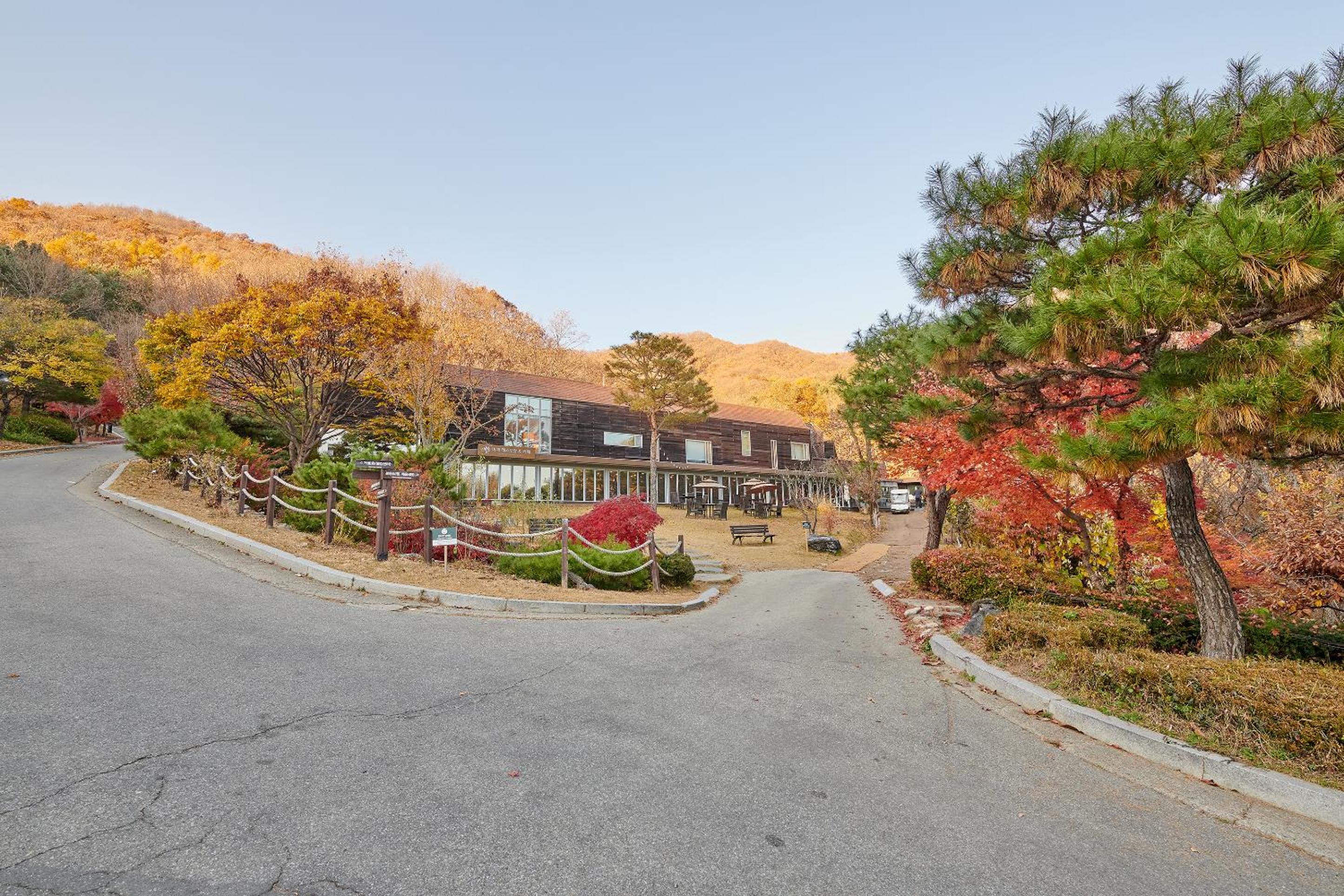 Healience Village