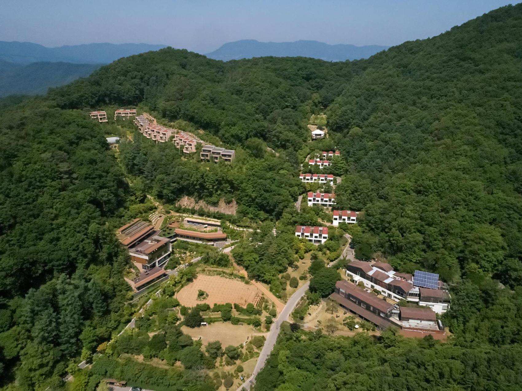 Healience Village