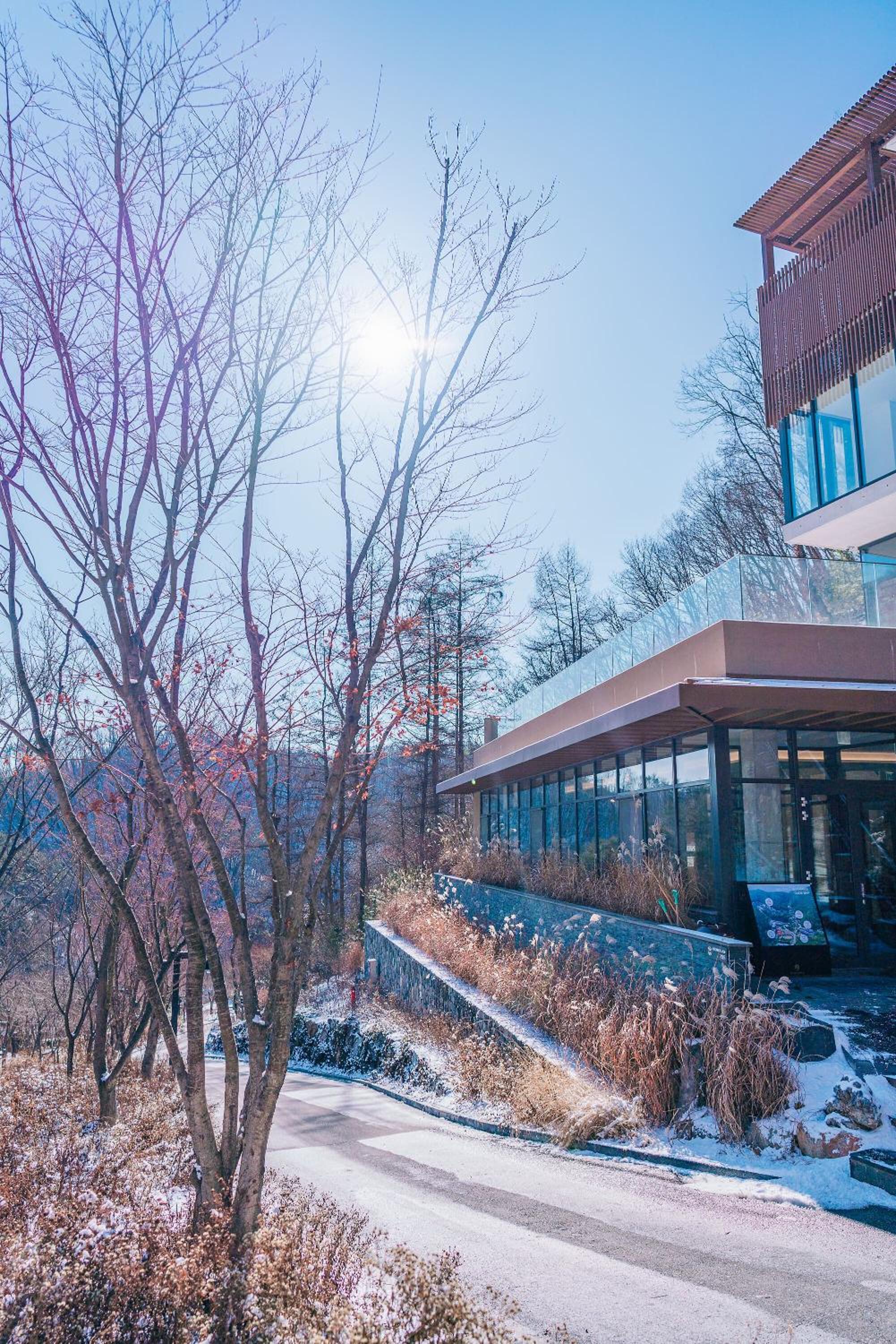 Healience Village