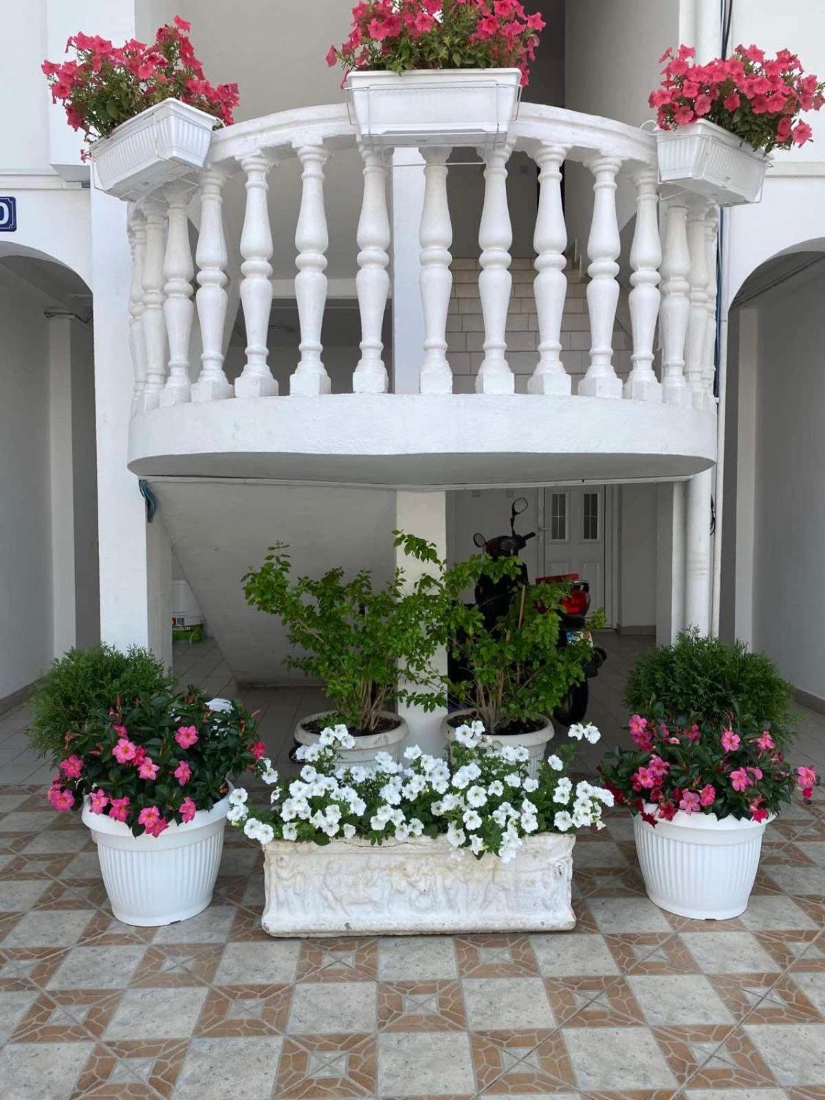 Apartmani Jovanaa
