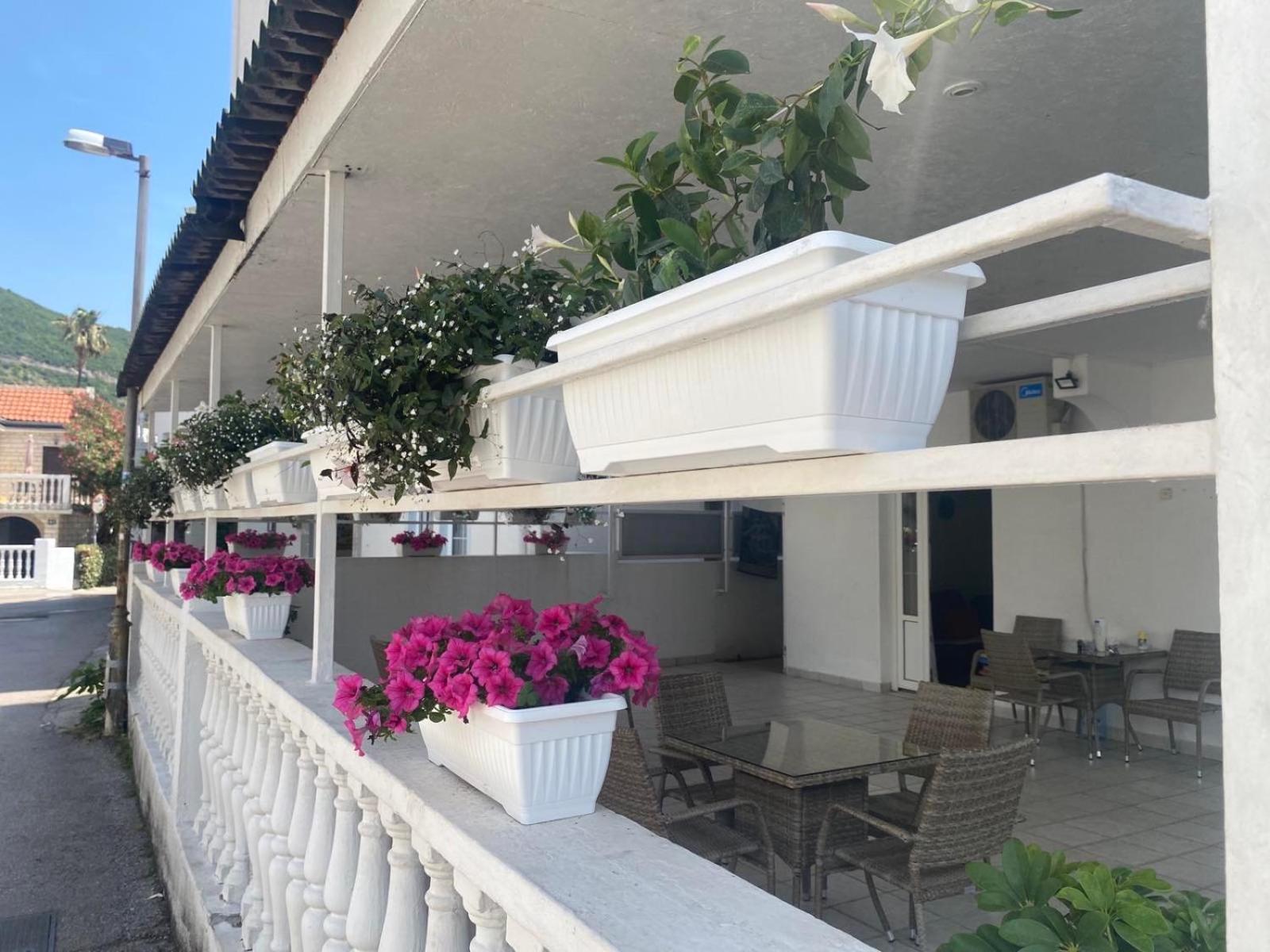 Apartmani Jovanaa