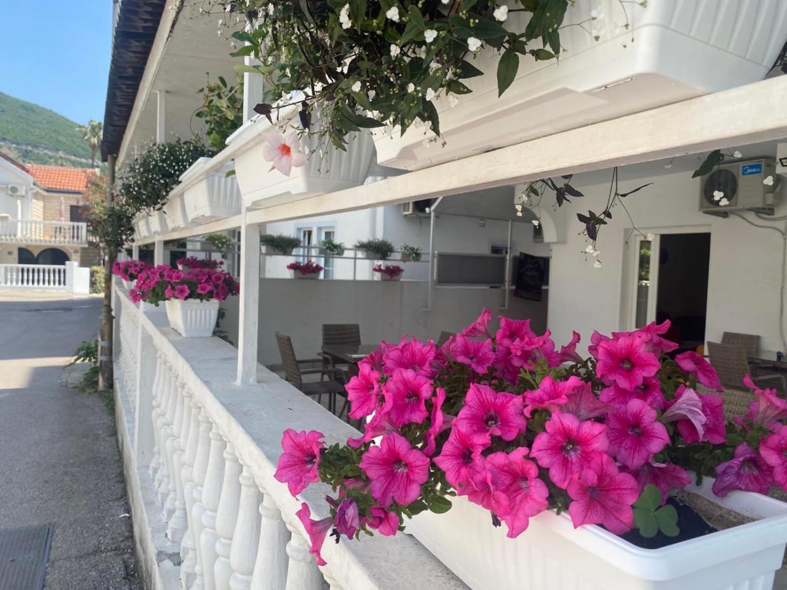 Apartmani Jovanaa