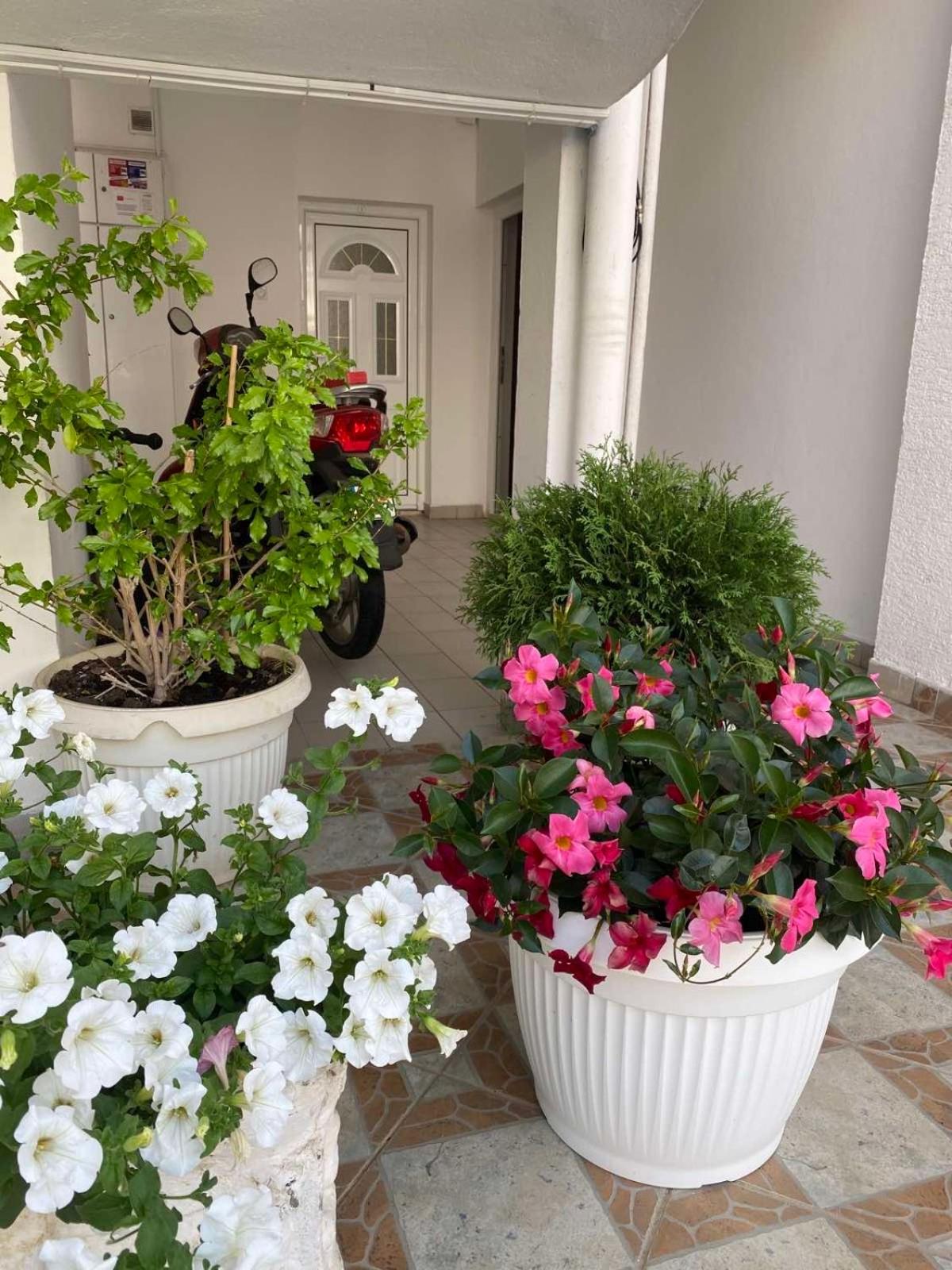 Apartmani Jovanaa