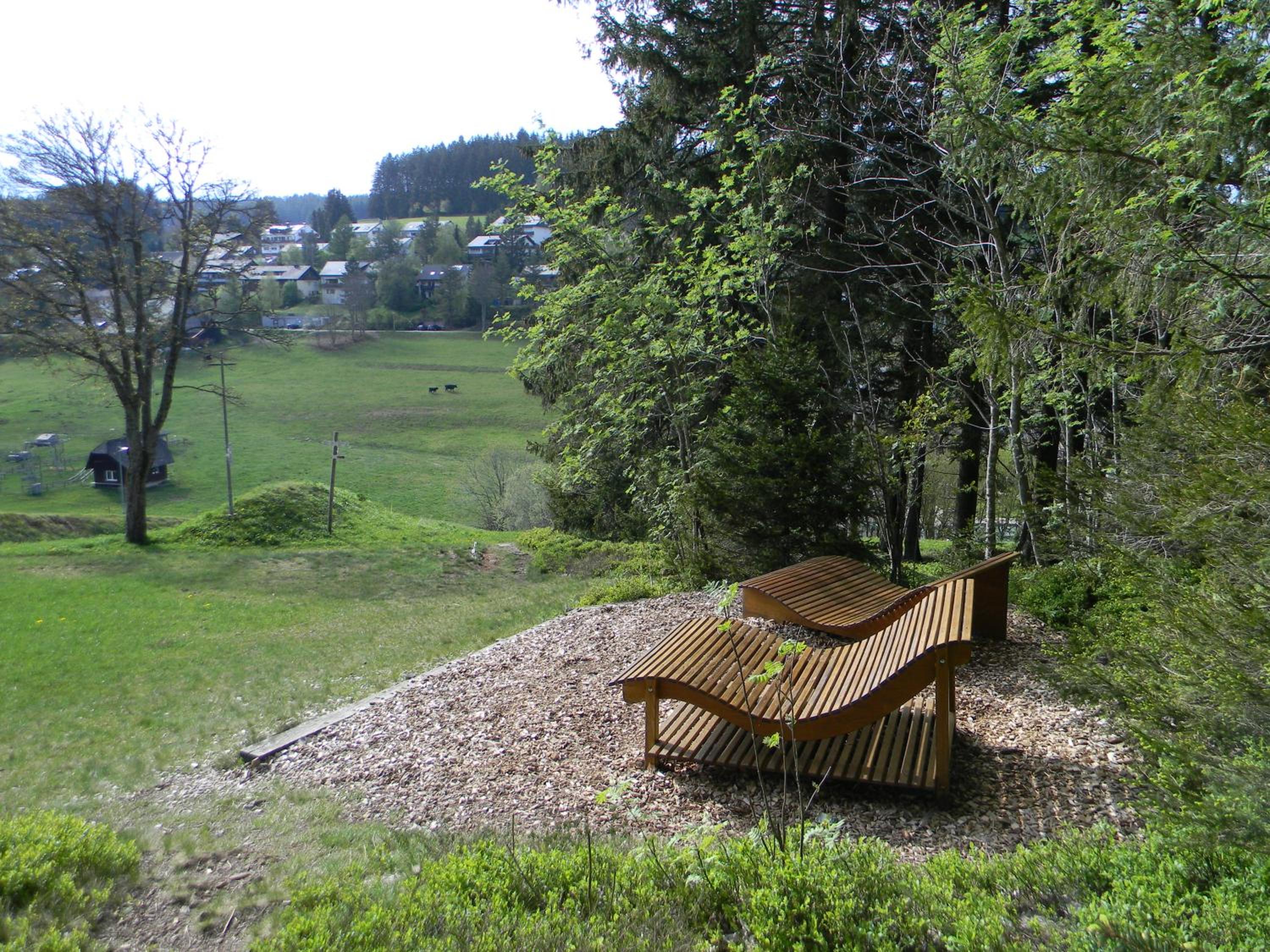 Schönwald Schwarzwaldhäuser Apartment 7