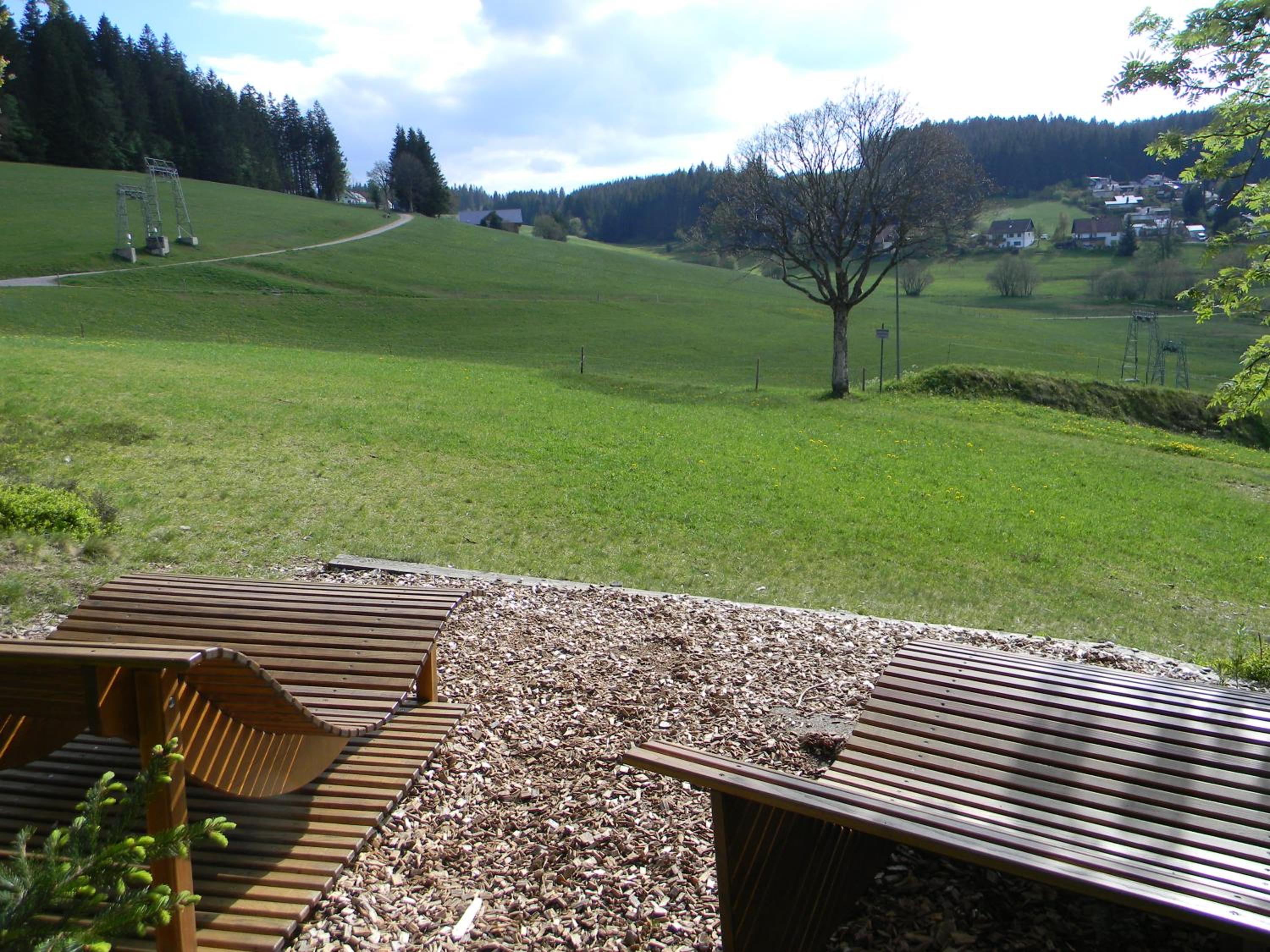 Schönwald Schwarzwaldhäuser Apartment 7