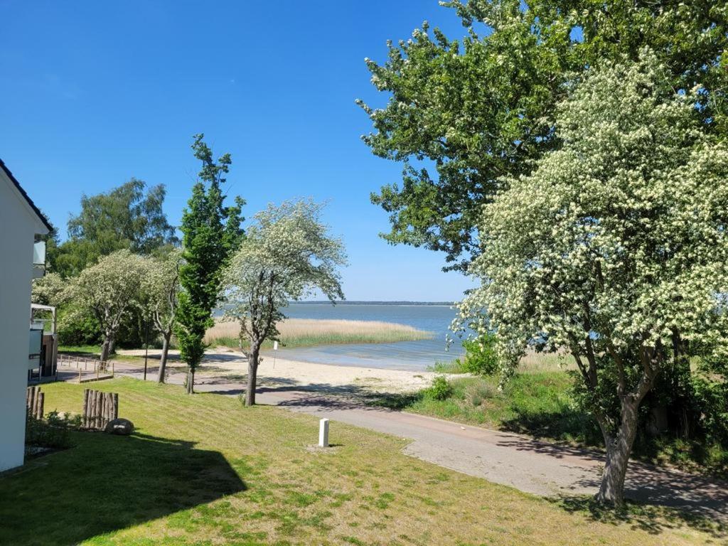 Baltic Lagoon Resort direkt am Meer