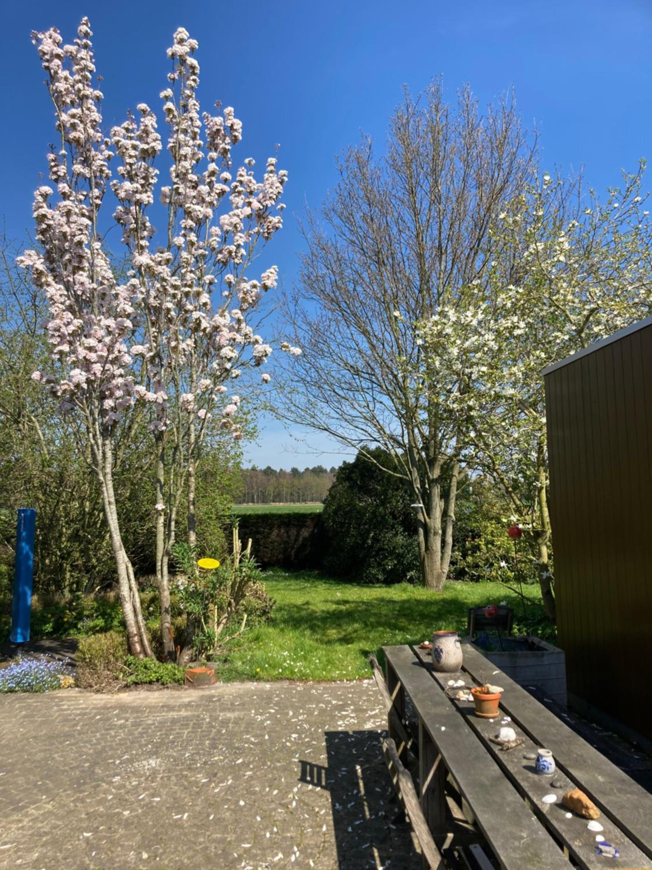 B&B Koornemoezen